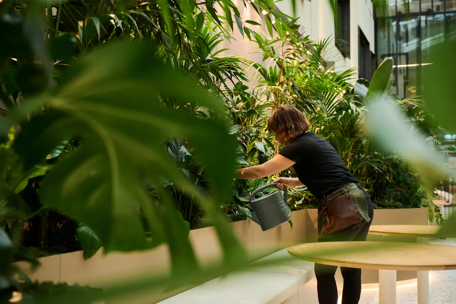 Outside In technician maintaining plants in a built-in planter