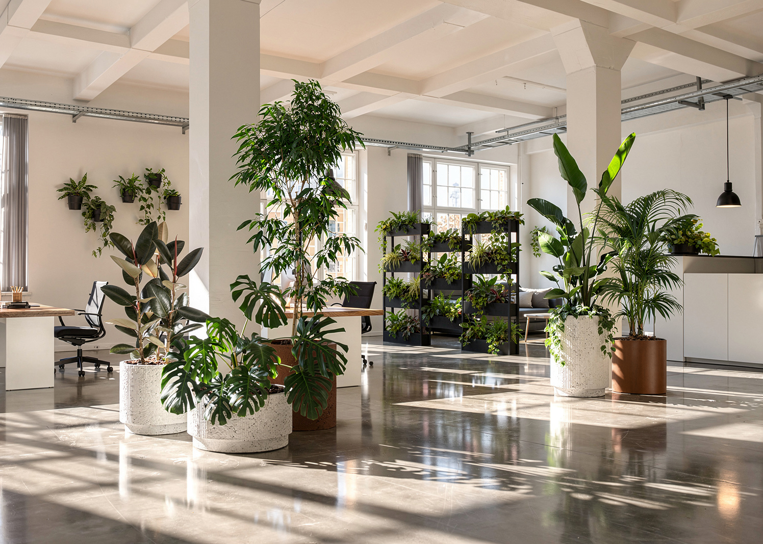 After: the same office styled with Outside In planters, trees and a living plant wall