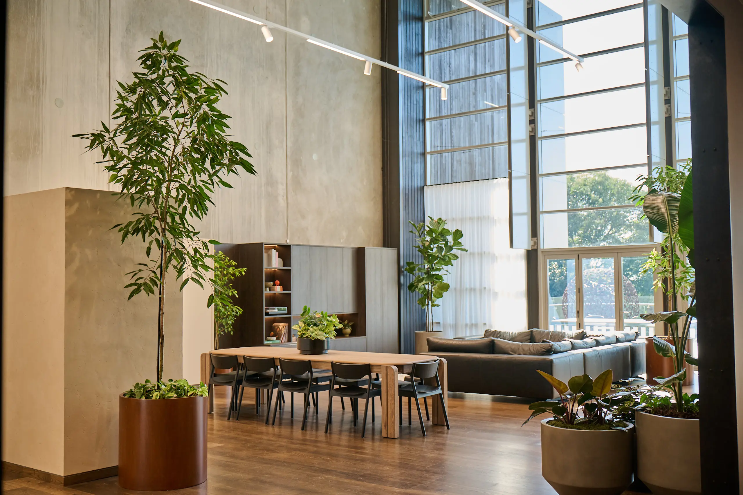 After: office styled with Outside In planters and plant walls (replace with render)