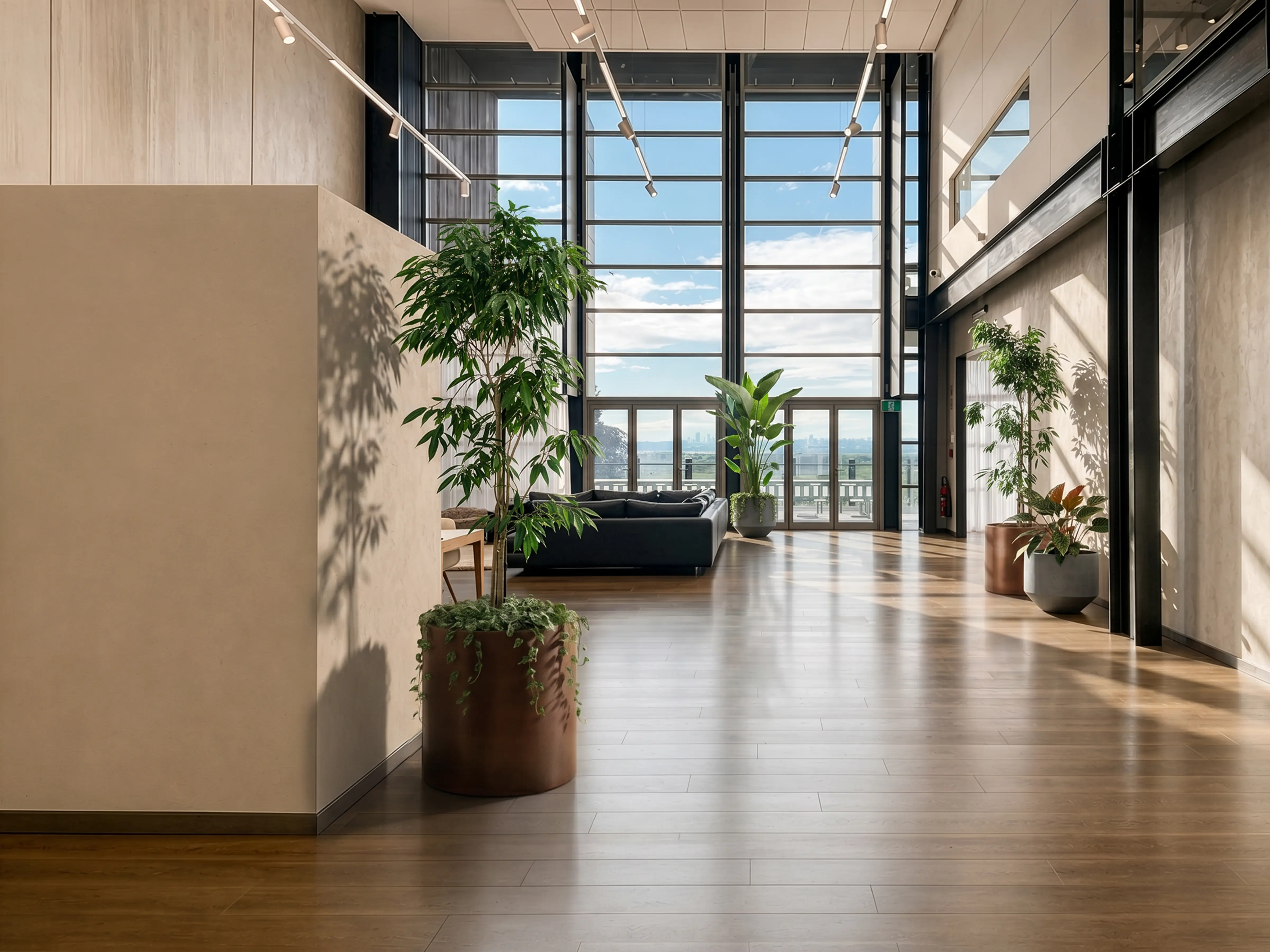 Before: the same office without plants (replace with photo)