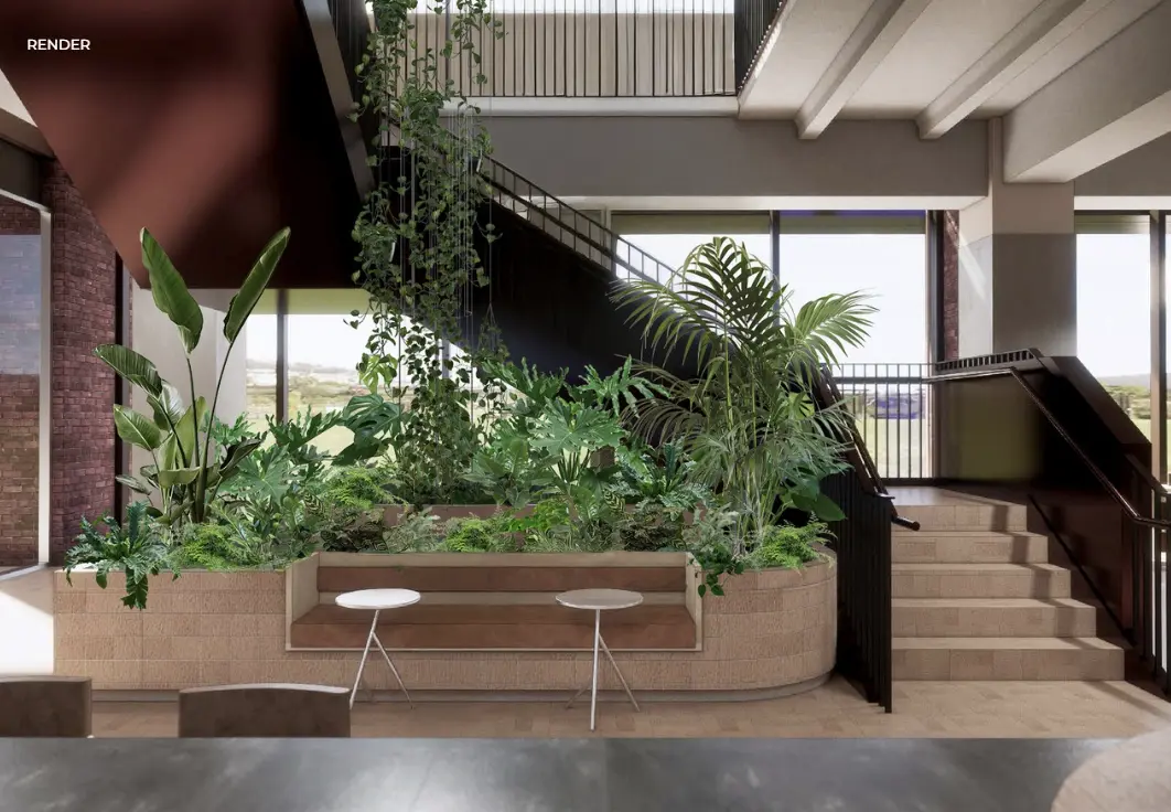 Before: the same office without plants (replace with photo)
