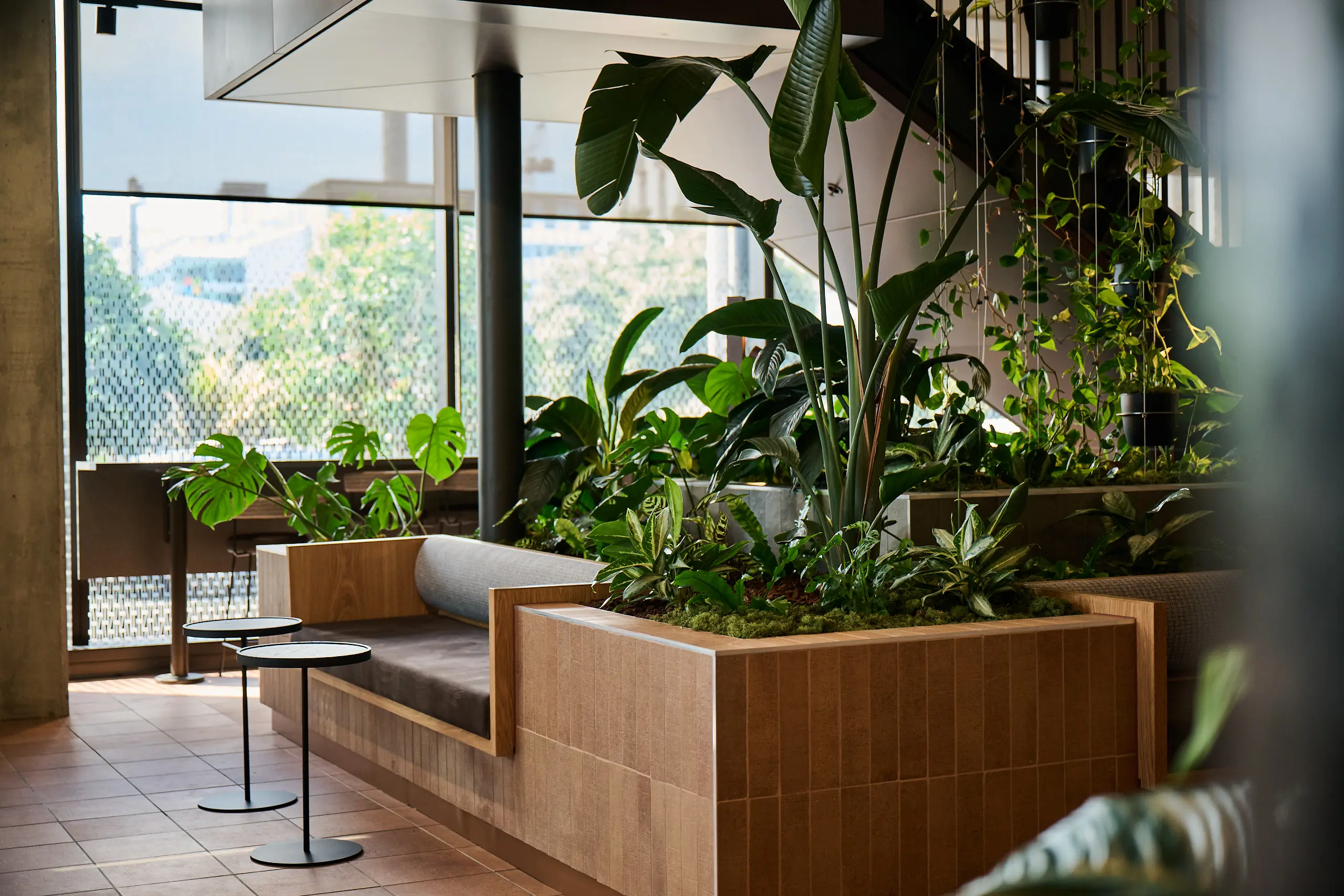 After: office styled with Outside In planters and plant walls (replace with render)