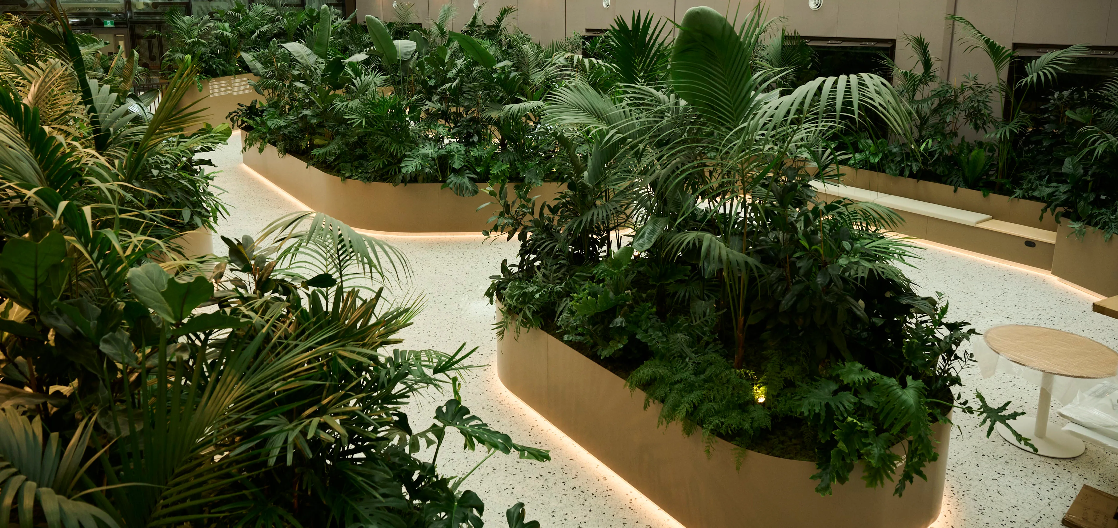 This hospital Healing Garden is a one-of-a-kind biophilic project, and a first for New Zealand’s healthcare sector.