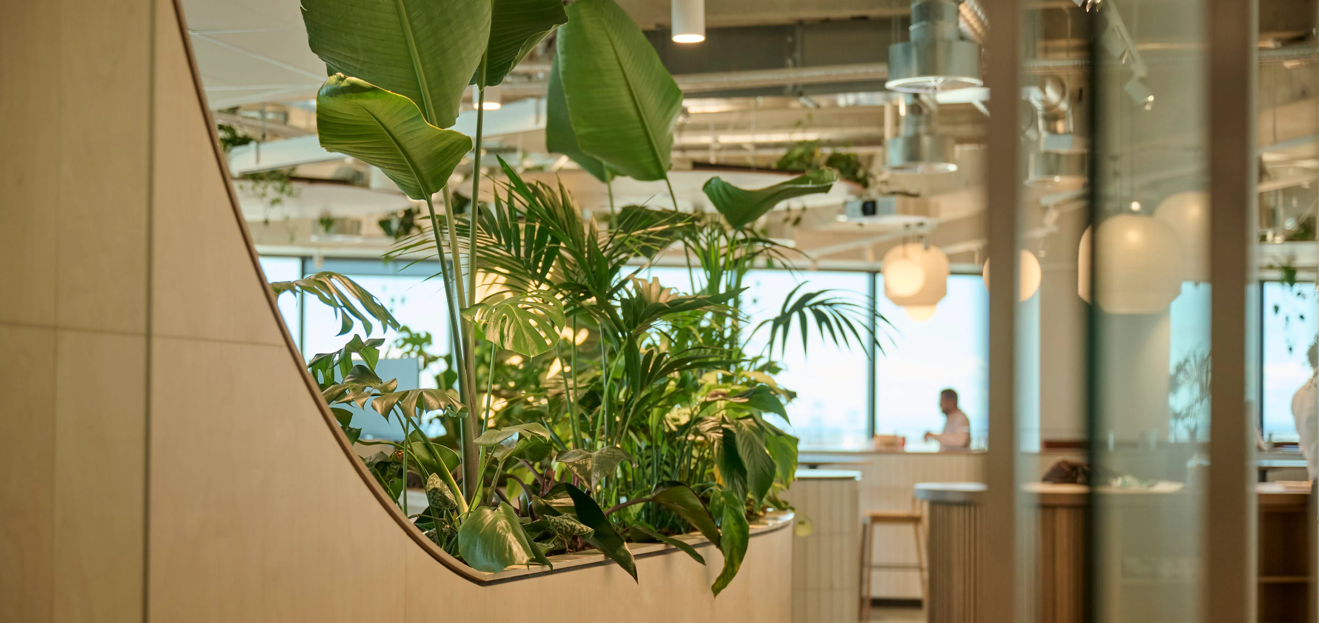 The green spaces in Oceania’s workplace fuse leading-edge interior design with the restorative elements of nature. 