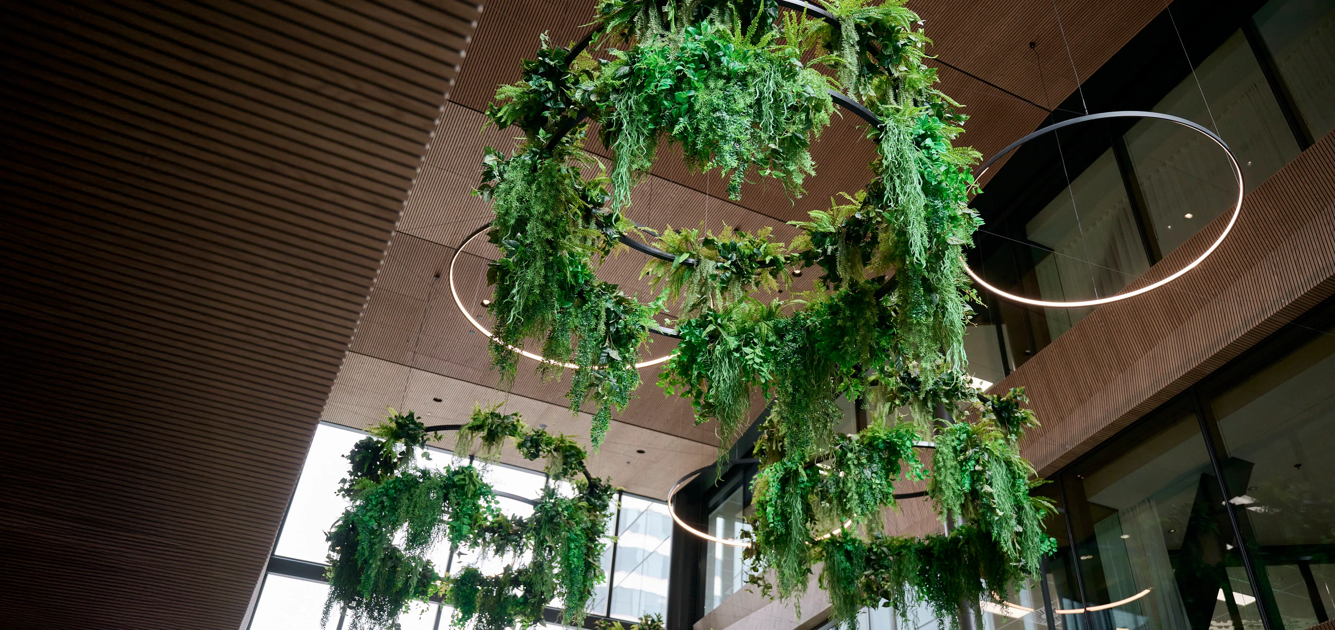 From custom plant chandeliers to a bespoke moss wall, the atrium at 44 Bowen Street brings immersive and inspiring nature inside.