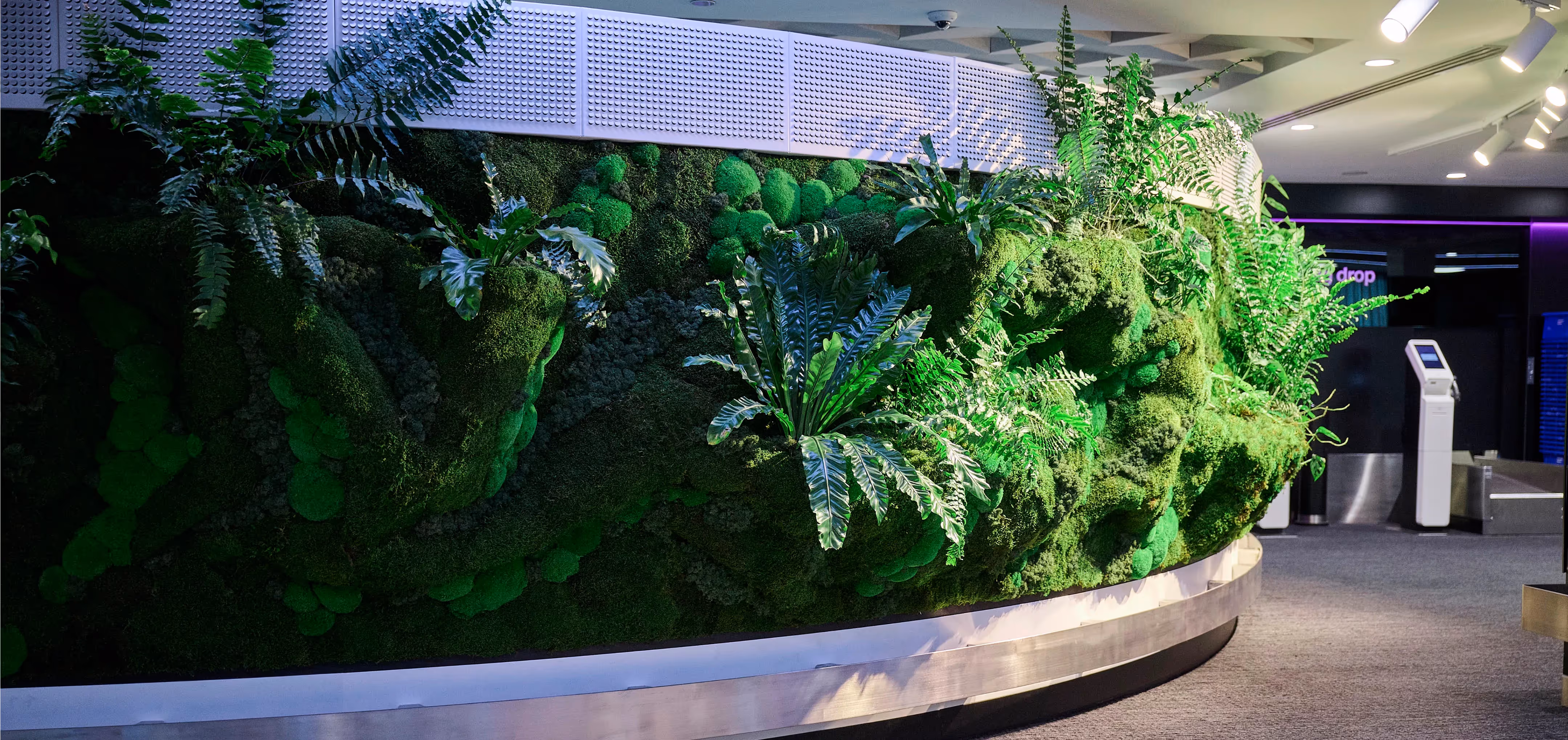 Sculptural greenery creates a unique biophilic feature for Air New Zealand’s premium check-in.