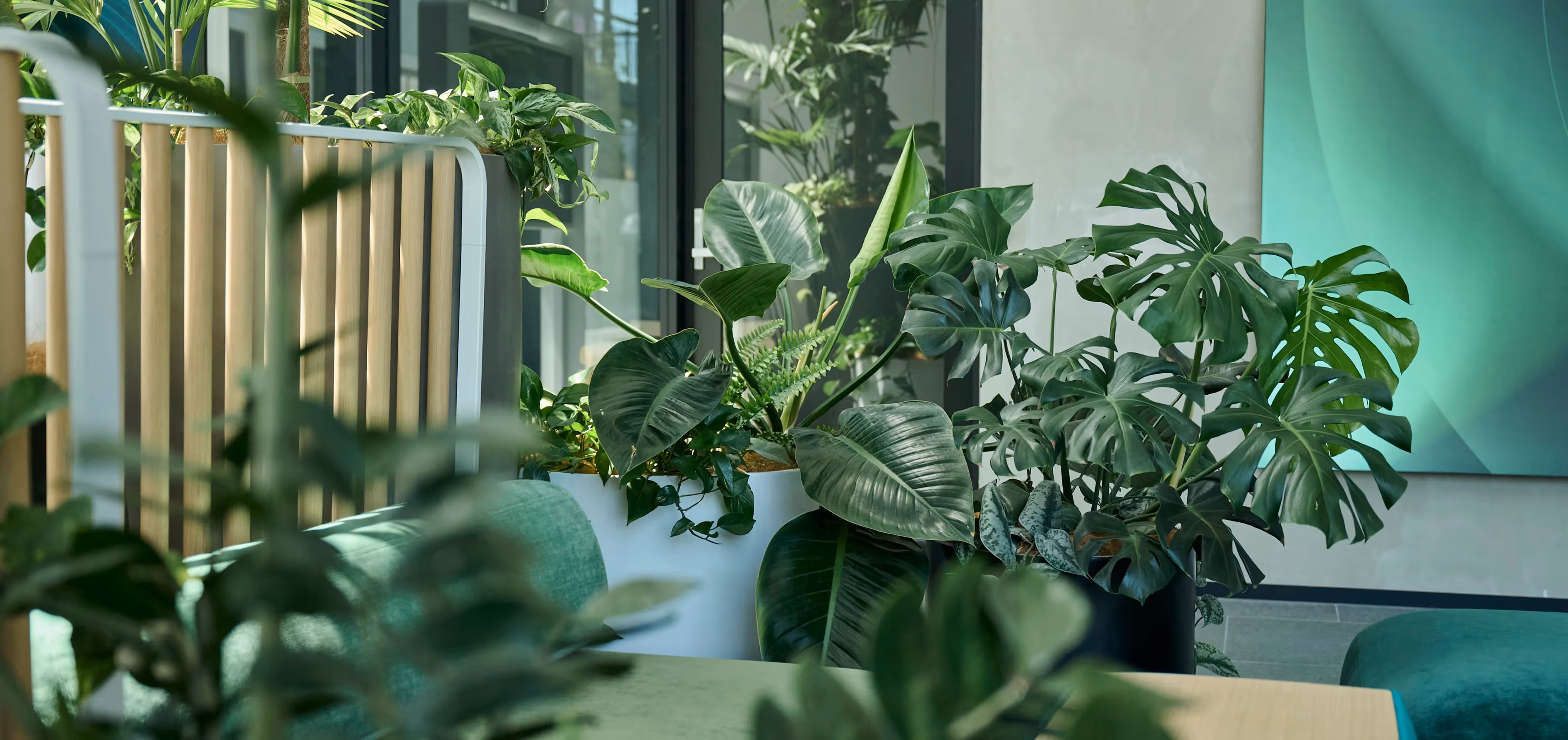 In our third collaboration with One NZ, we drew design inspiration from the local landscape. This inspiring project met a tight deadline.