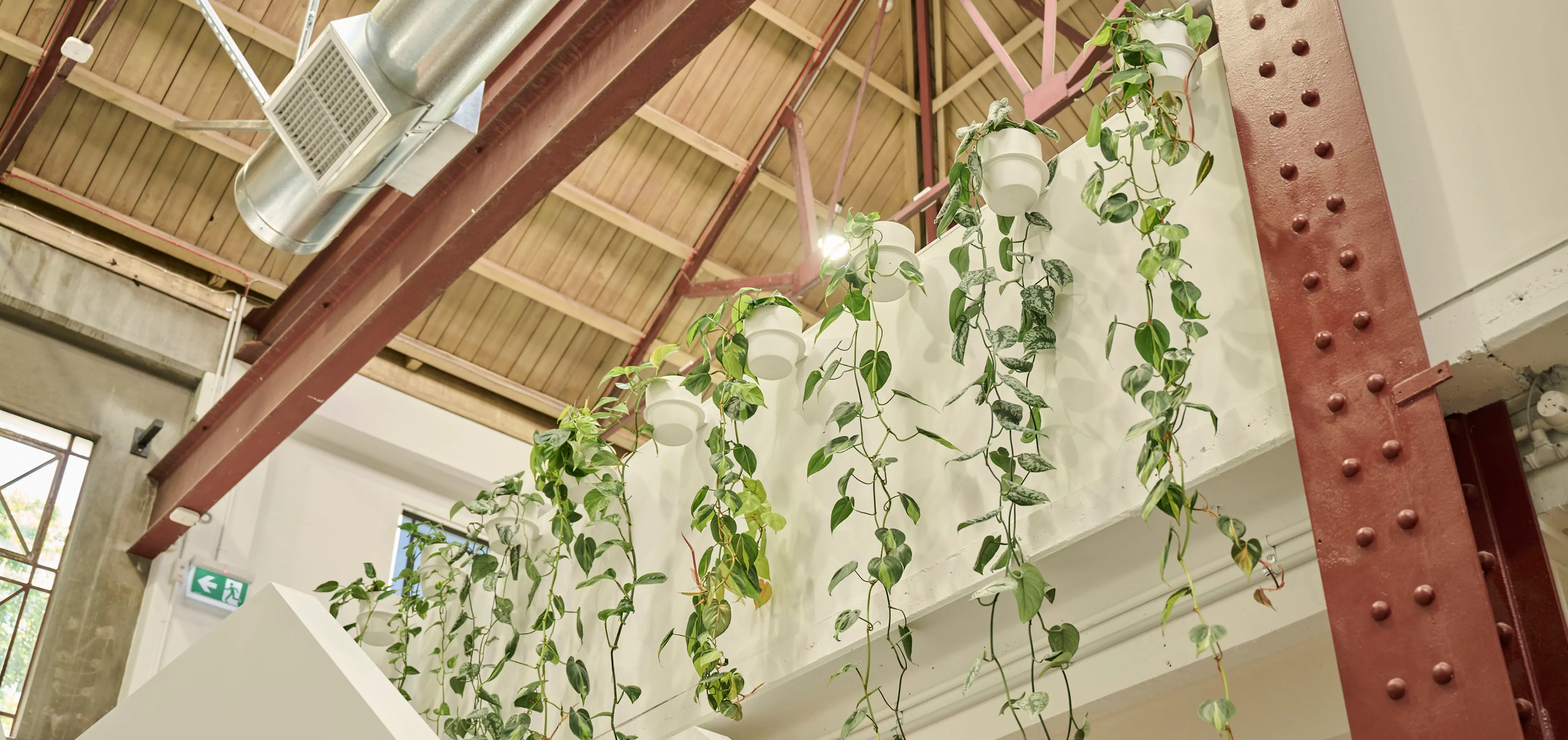 By developing a detailed understanding of Partly's needs, our experts created highly impactful green spaces.