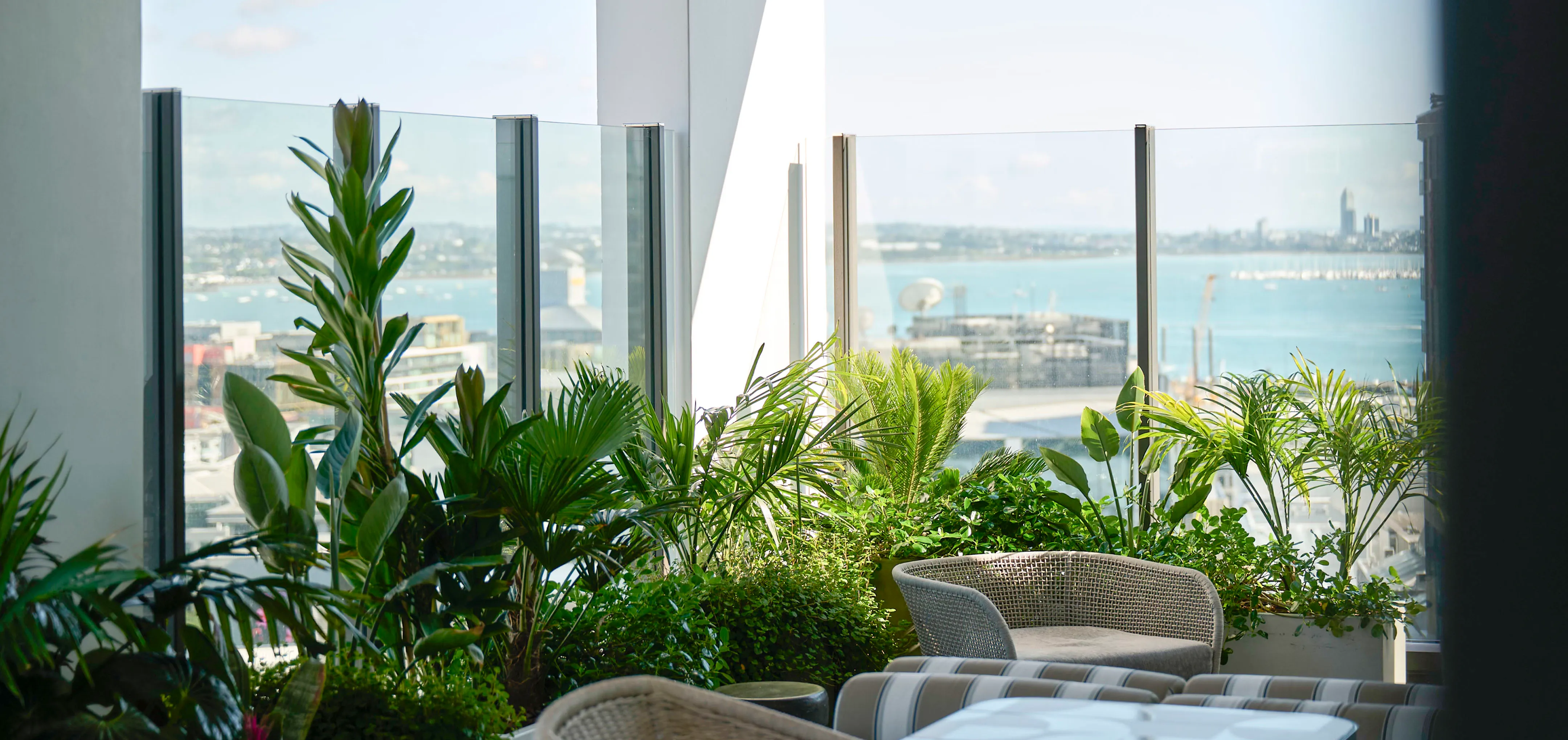 When walking into Sudima Auckland City, you’ll immediately notice how greenery elevates the guest experience.