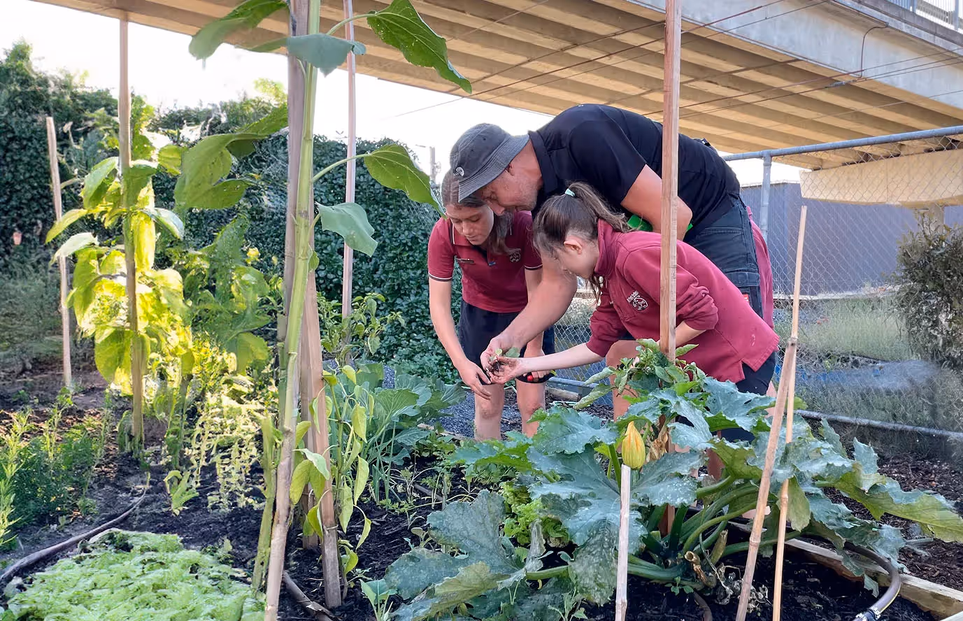 Sylvia Park Sustainability