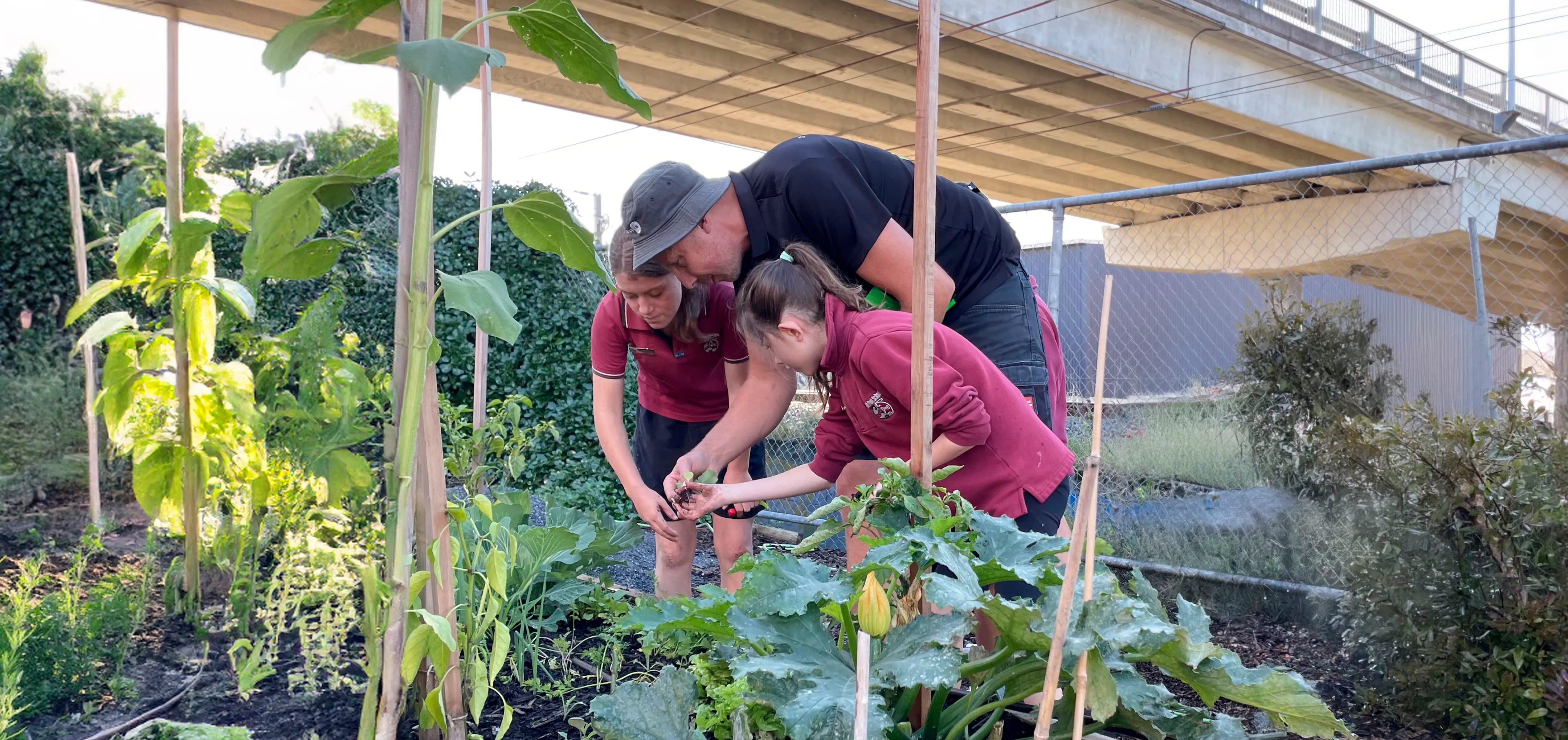 Sustainability at Sylvia Park is achieving meaningful and measurable change that is building the gardeners of tomorrow.
