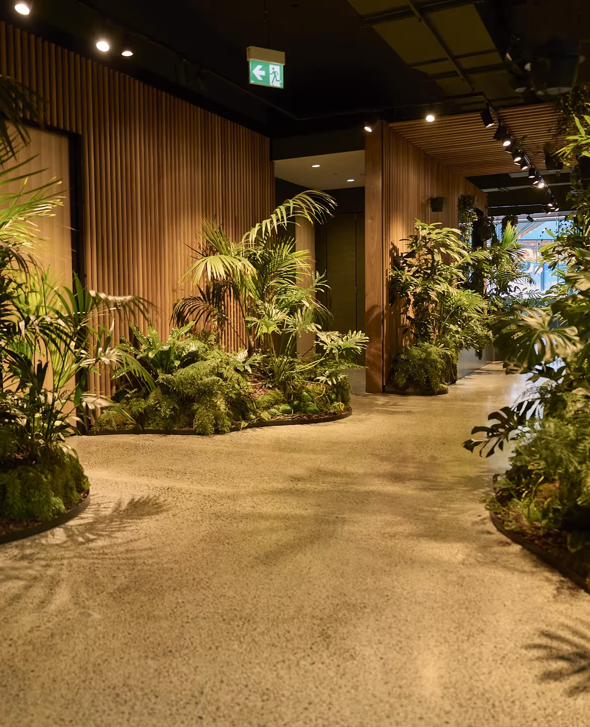 The green spaces created for MC have received global acclaim and helped this litigation firm attract the best legal talent.