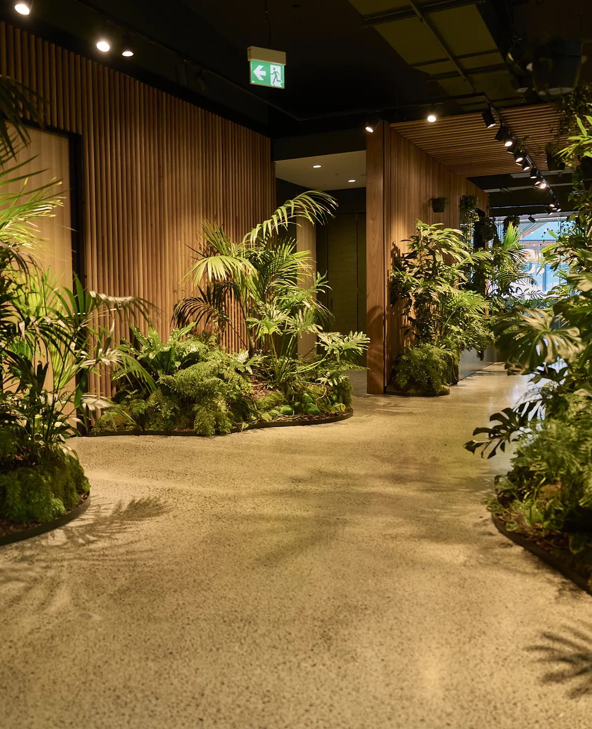 The green spaces created for MC have received global acclaim and helped this litigation firm attract the best legal talent.