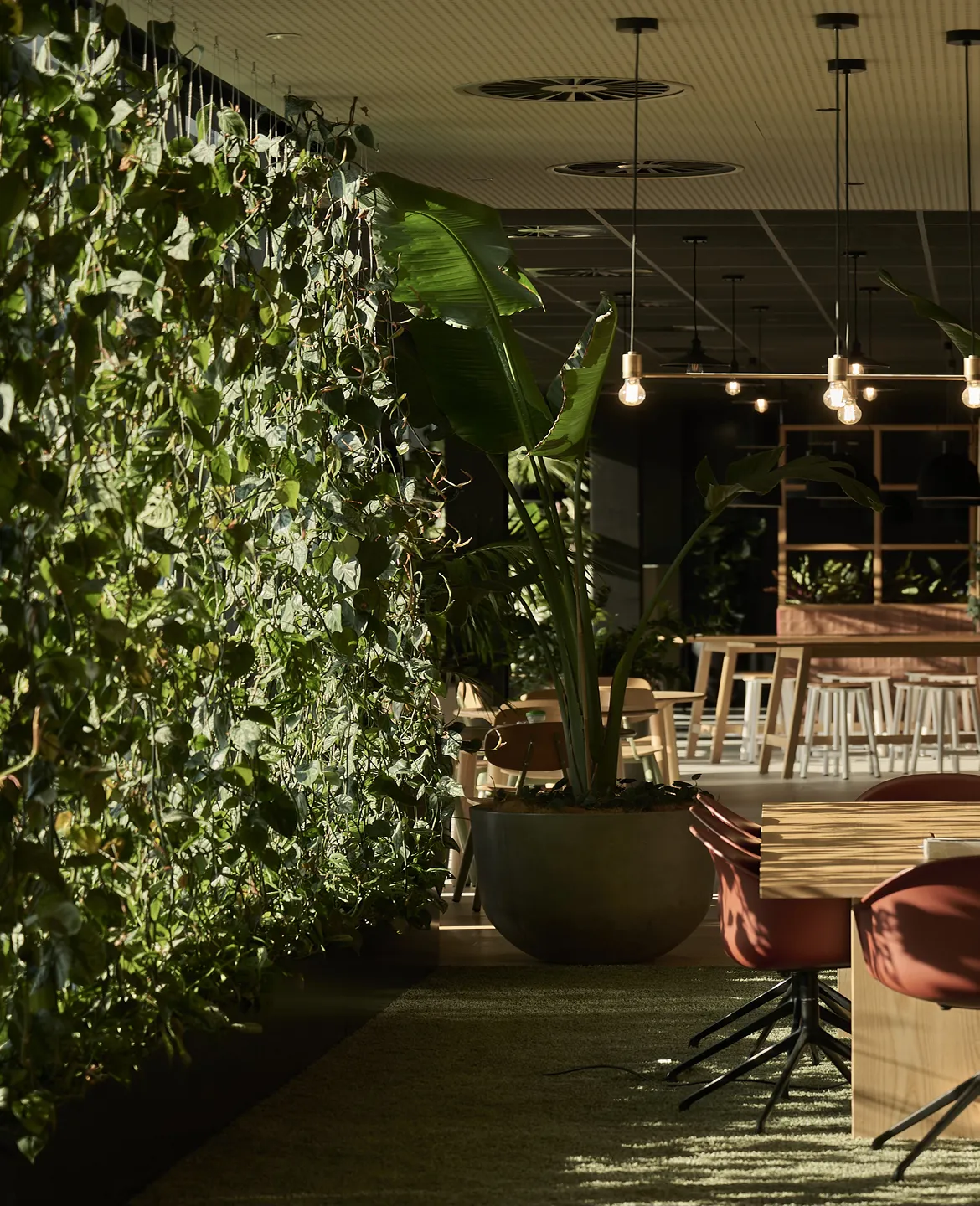 Greenery design for Aurecon’s workplace, Te Tihi, helps bring the project’s strong cultural narrative to life. 