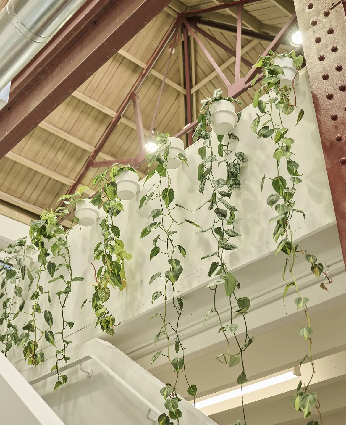 By developing a detailed understanding of Partly's needs, our experts created highly impactful green spaces.