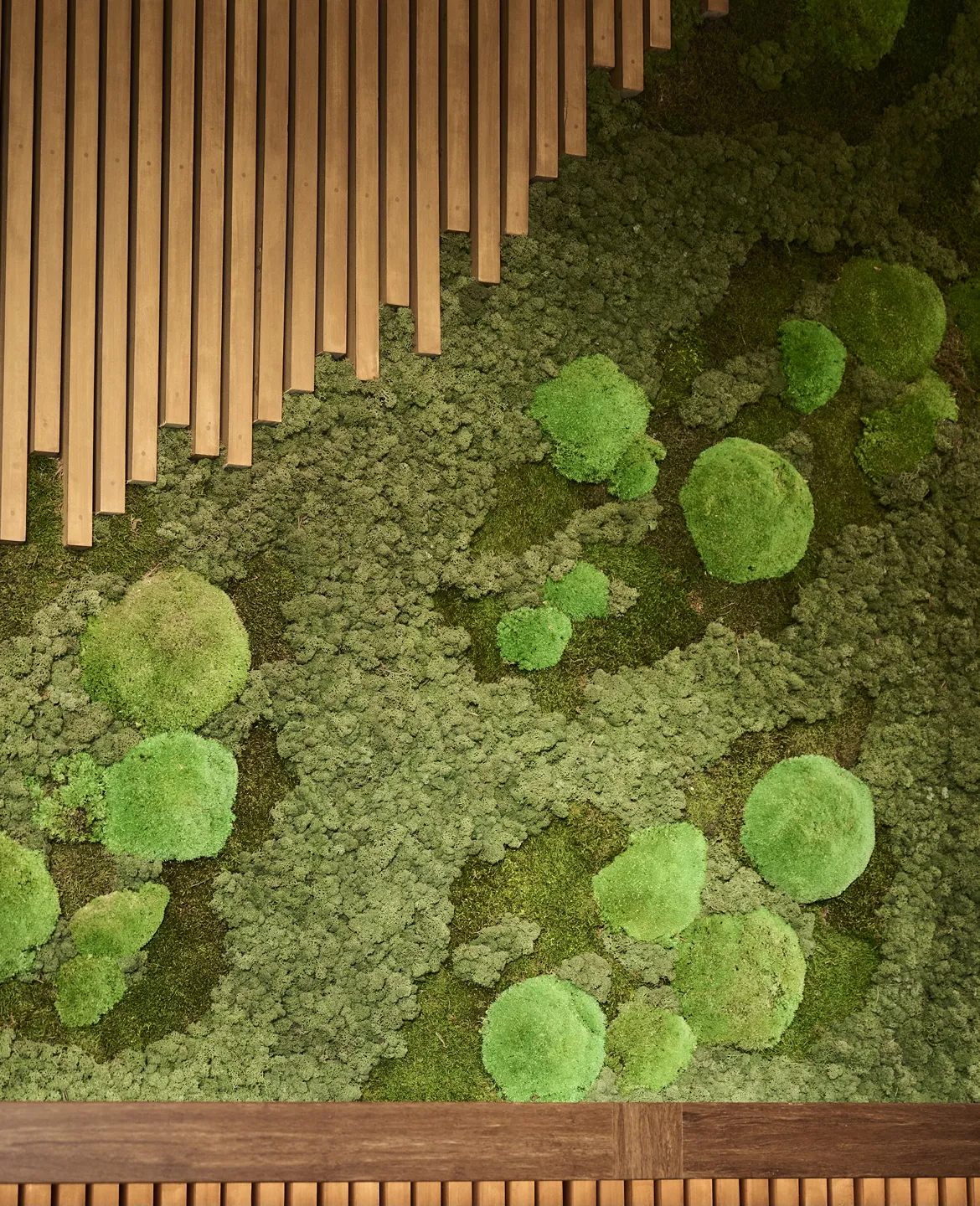 Bespoke greenery for Home NZ creates a highly memorable aesthetic that’s inspired by the client’s construction background.