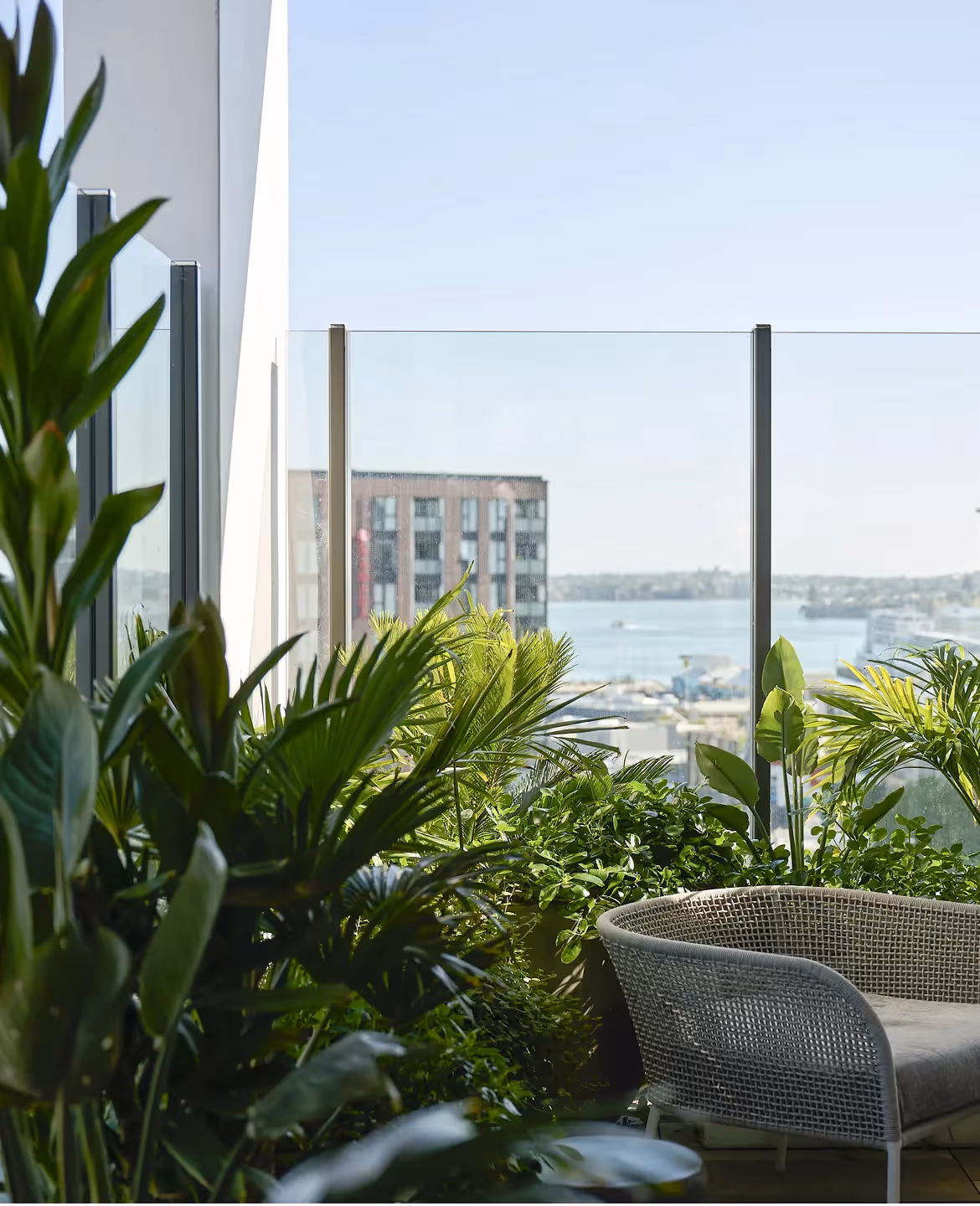 When walking into Sudima Auckland City, you’ll immediately notice how greenery elevates the guest experience. 