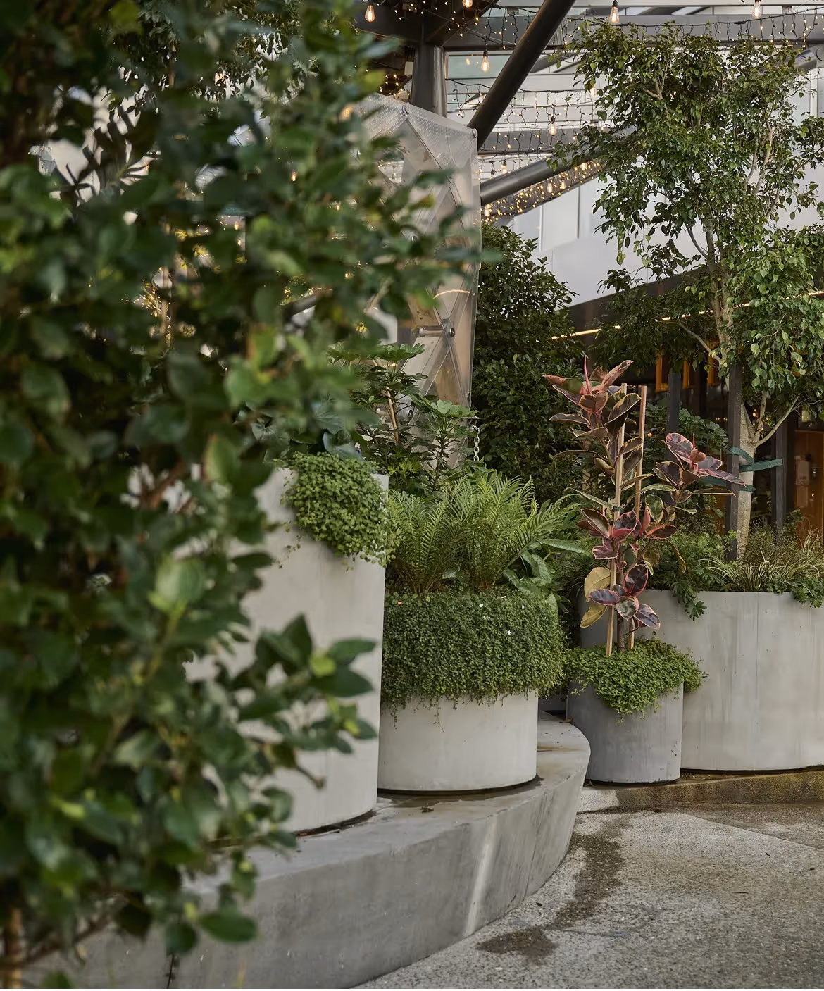 Beautiful greenery reinforces Sylvia Park as a retail destination of choice and helps support its commercial goals.