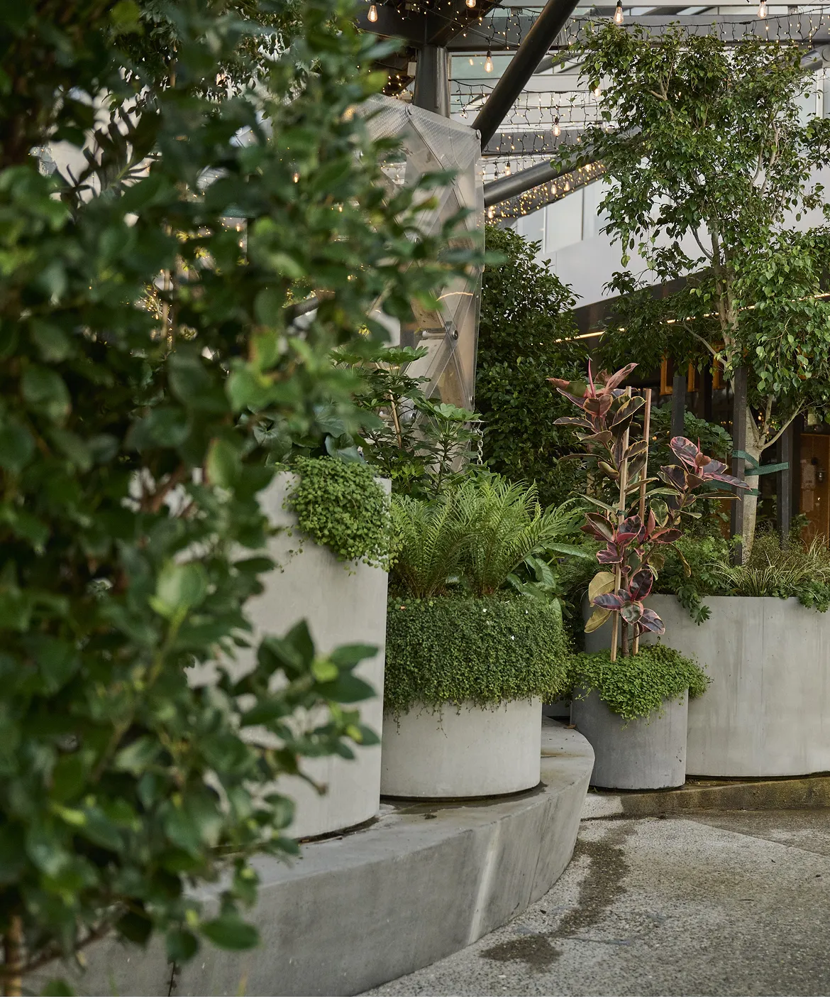 Beautiful greenery reinforces Sylvia Park as a retail destination of choice and helps support its commercial goals.