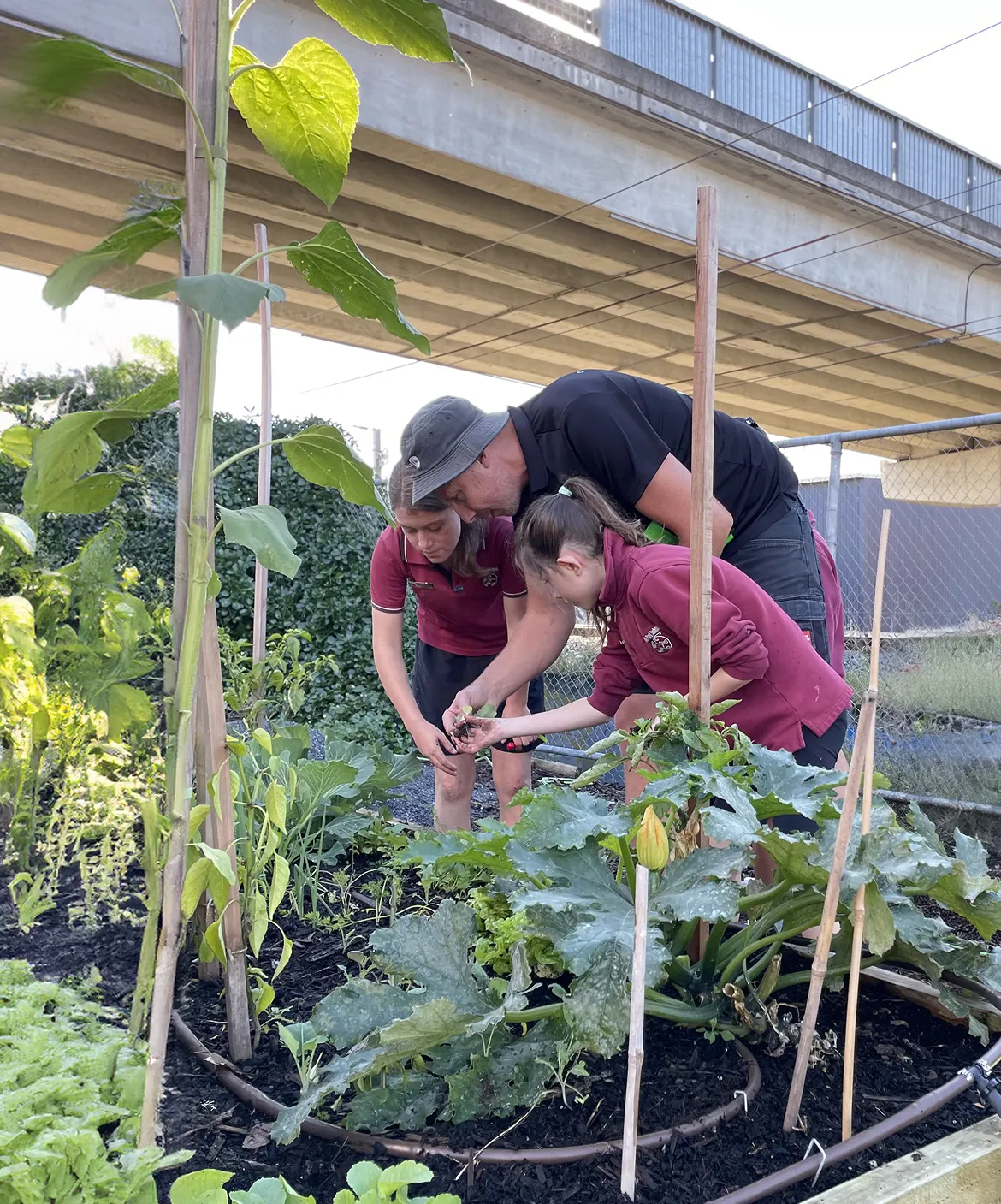 Sustainability at Sylvia Park is achieving meaningful and measurable change that is building the gardeners of tomorrow.