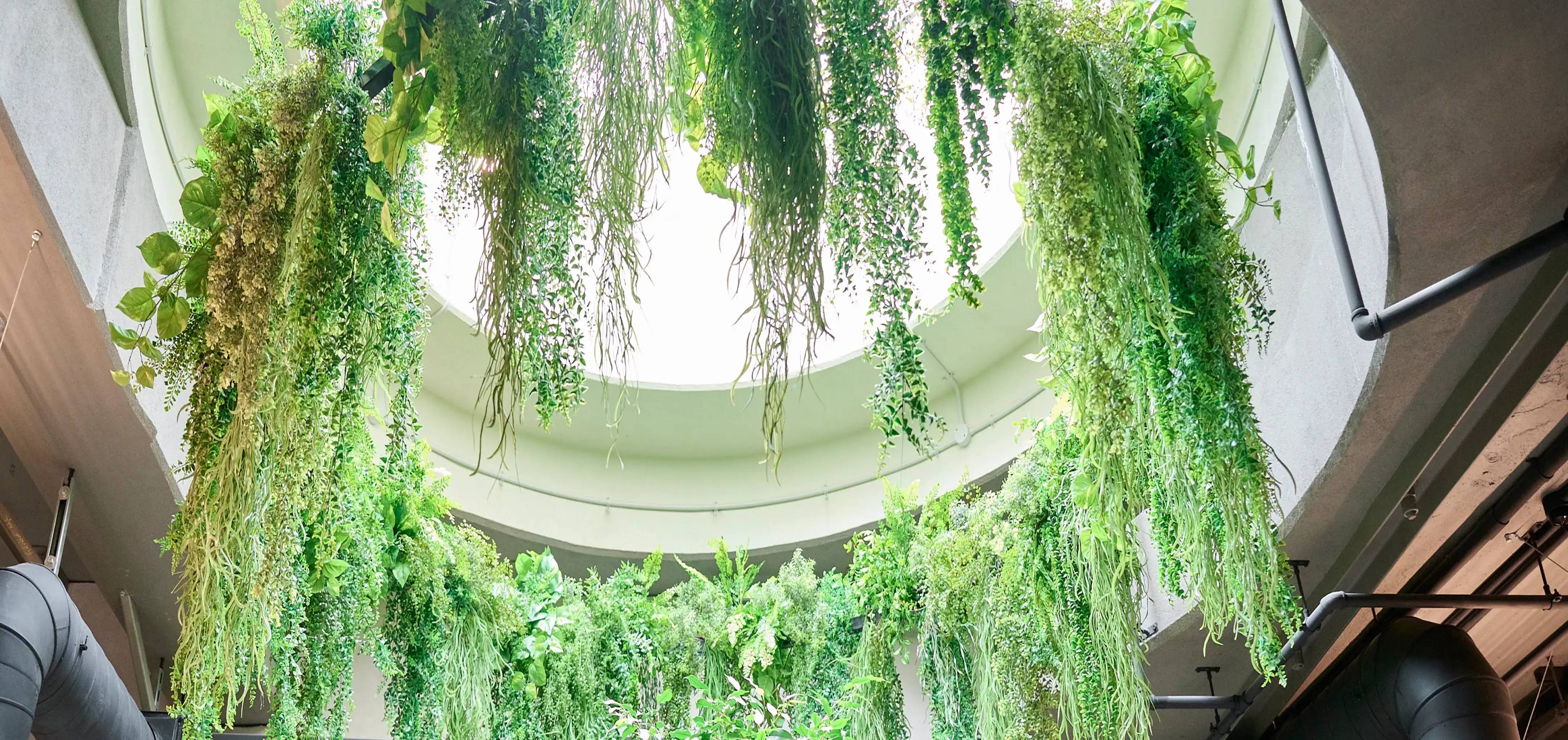 For this popular subterranean dining and entertainment district, Outside In created green spaces underground.