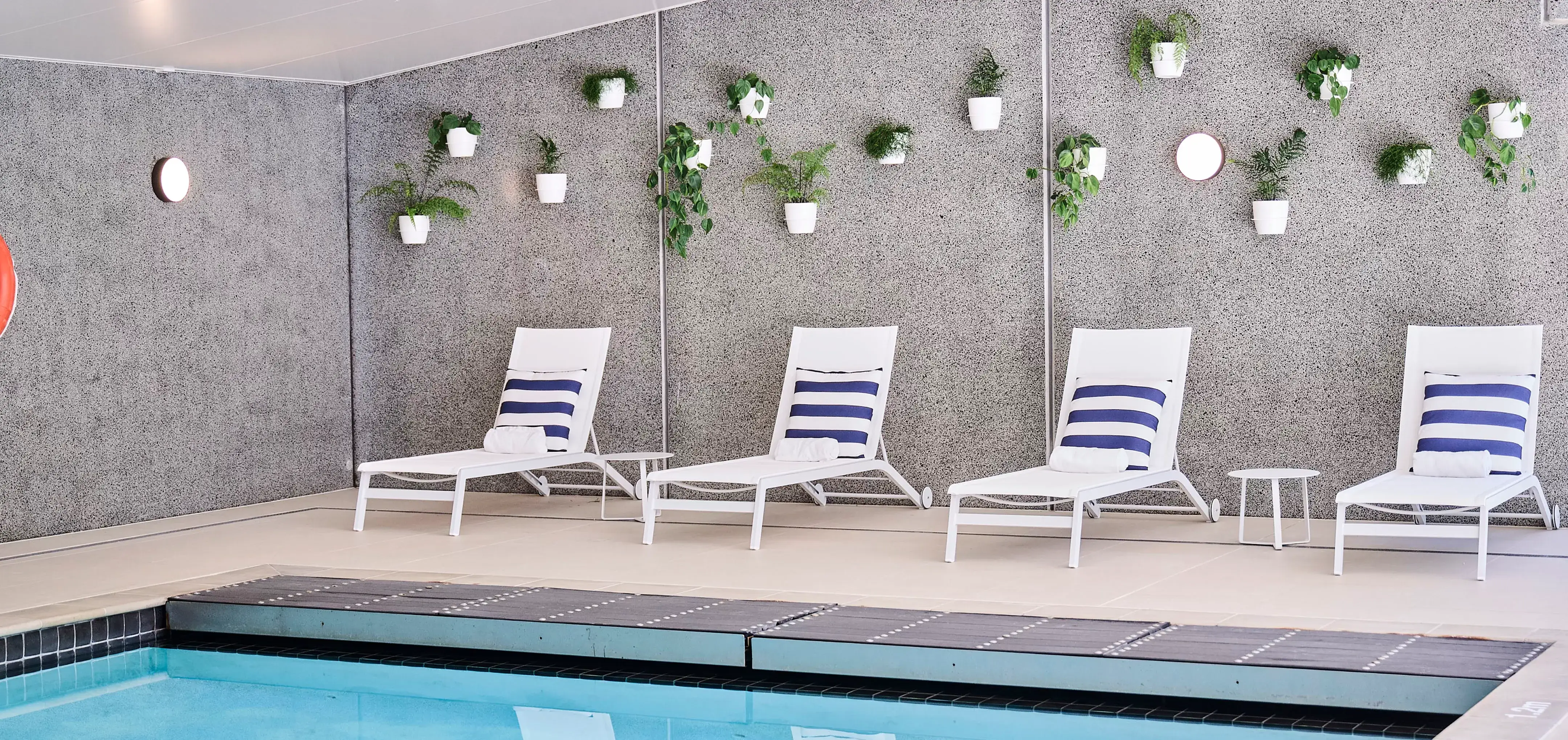 Bespoke greenery for Sudima Auckland Airport helps elevate the guest experience and supports the hotel’s occupancy goals.