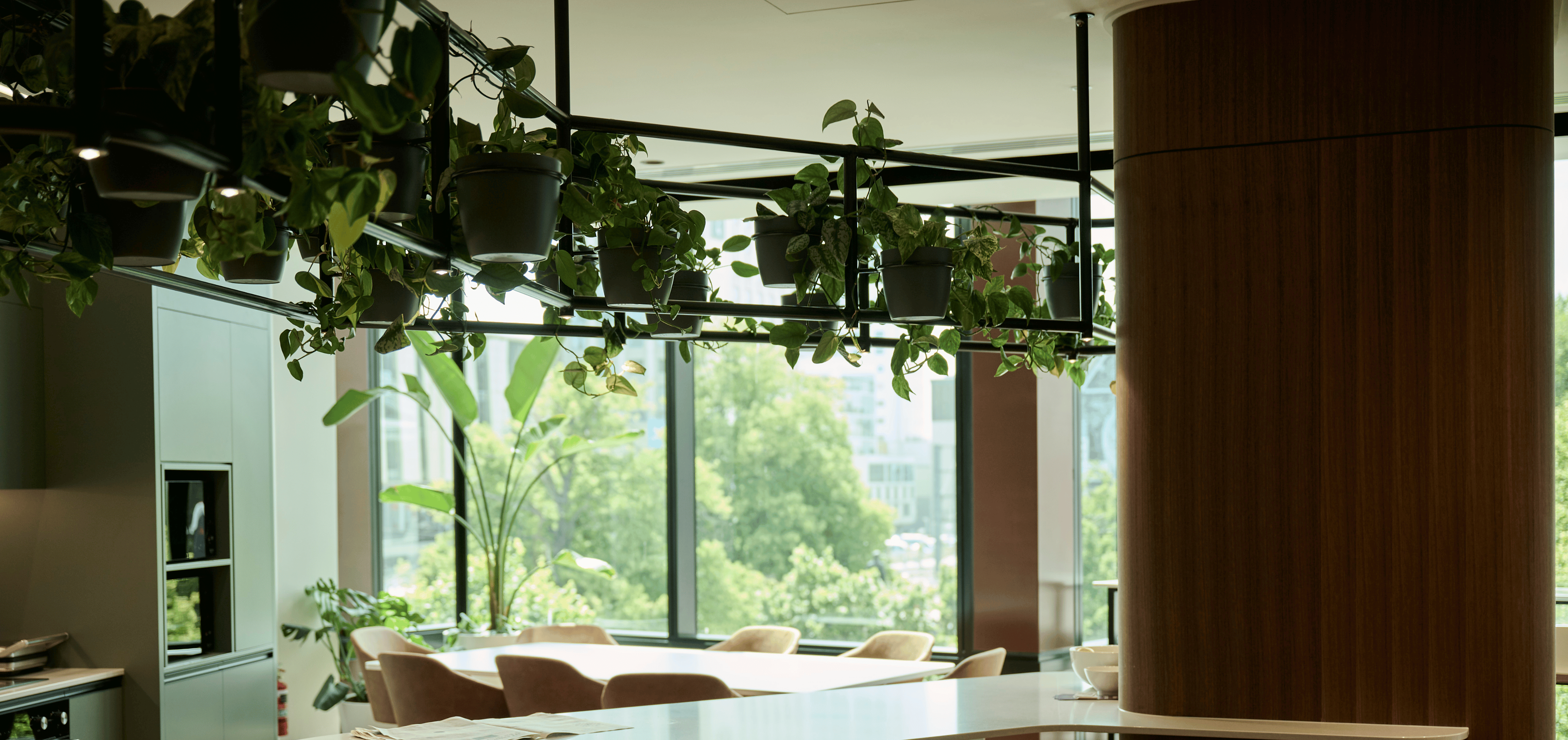 At Anderson Lloyd, greenery and natural materials come together to create a calm, contemporary workplace.