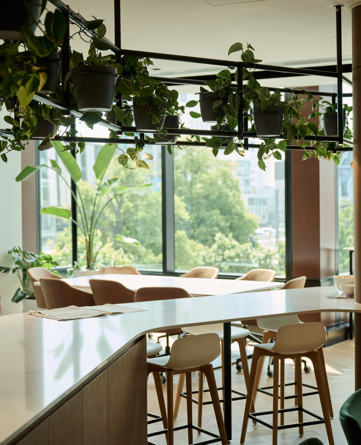 At Anderson Lloyd, greenery and natural materials come together to create a calm, contemporary workplace.