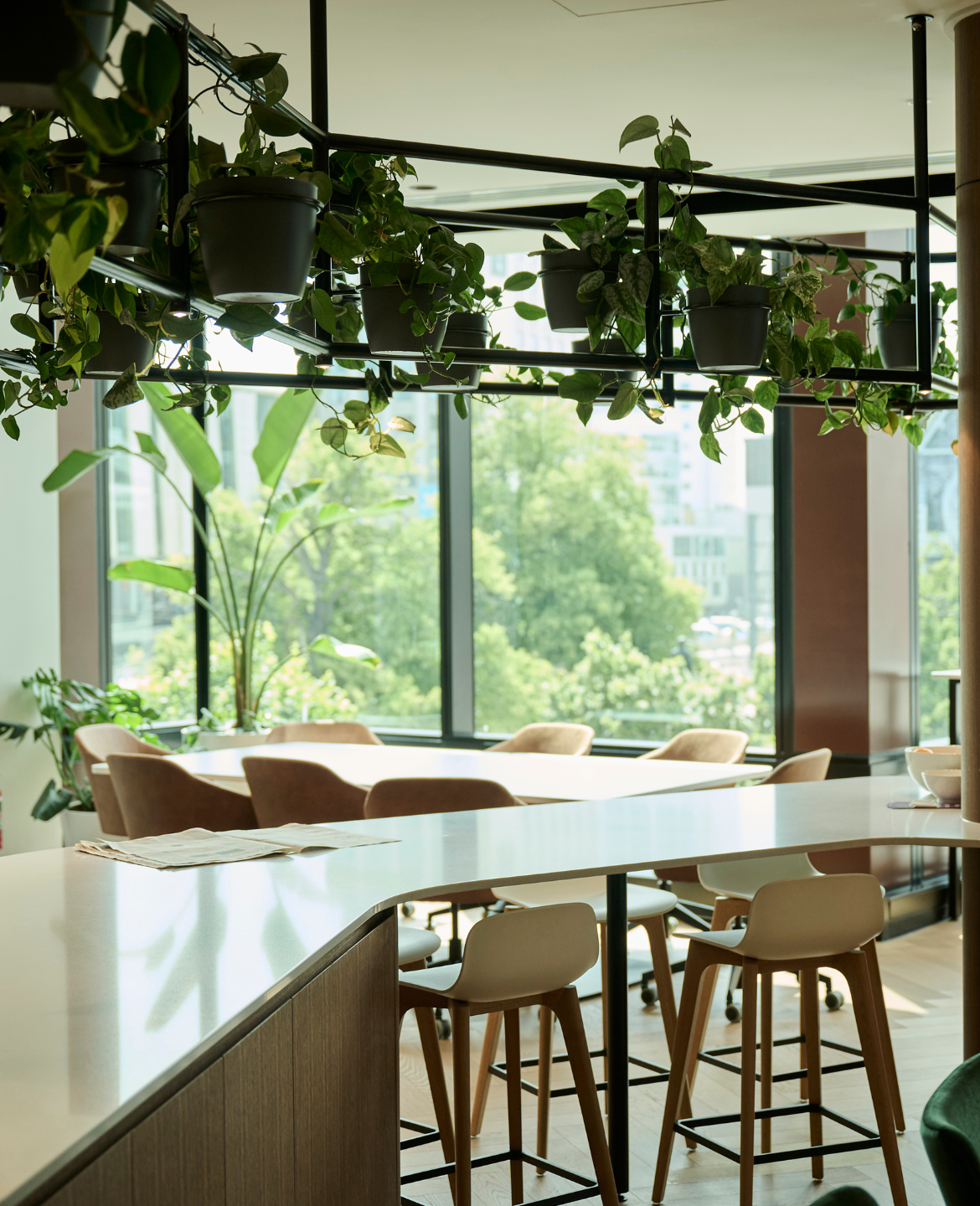At Anderson Lloyd, greenery and natural materials come together to create a calm, contemporary workplace.