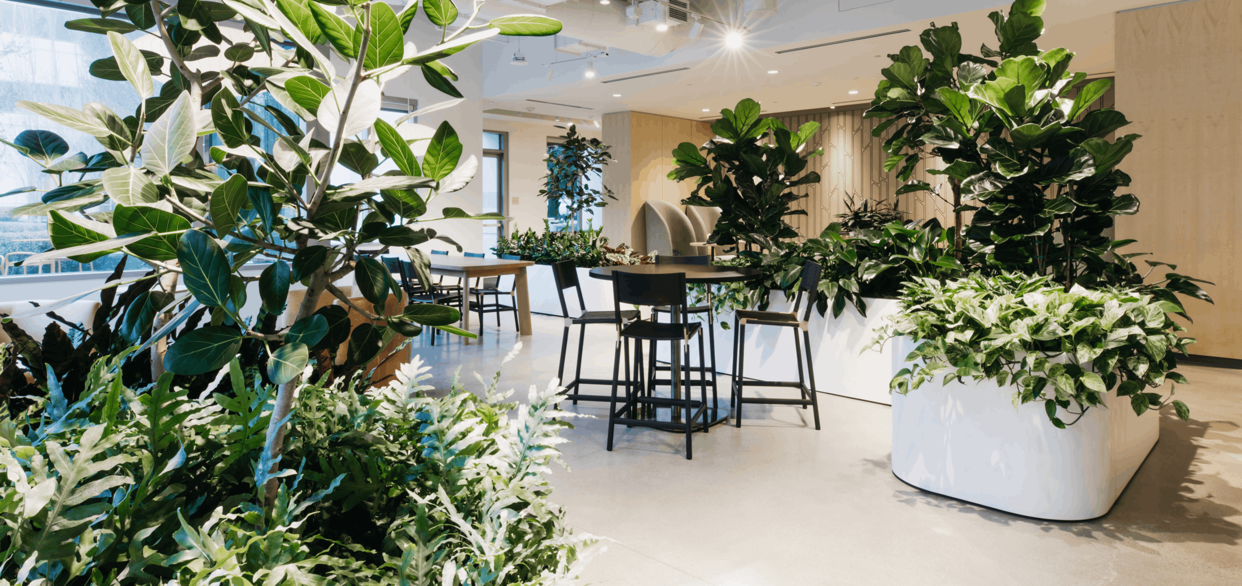 A biophilic workplace that brings nature, calm, and connection into a contemporary corporate environment.