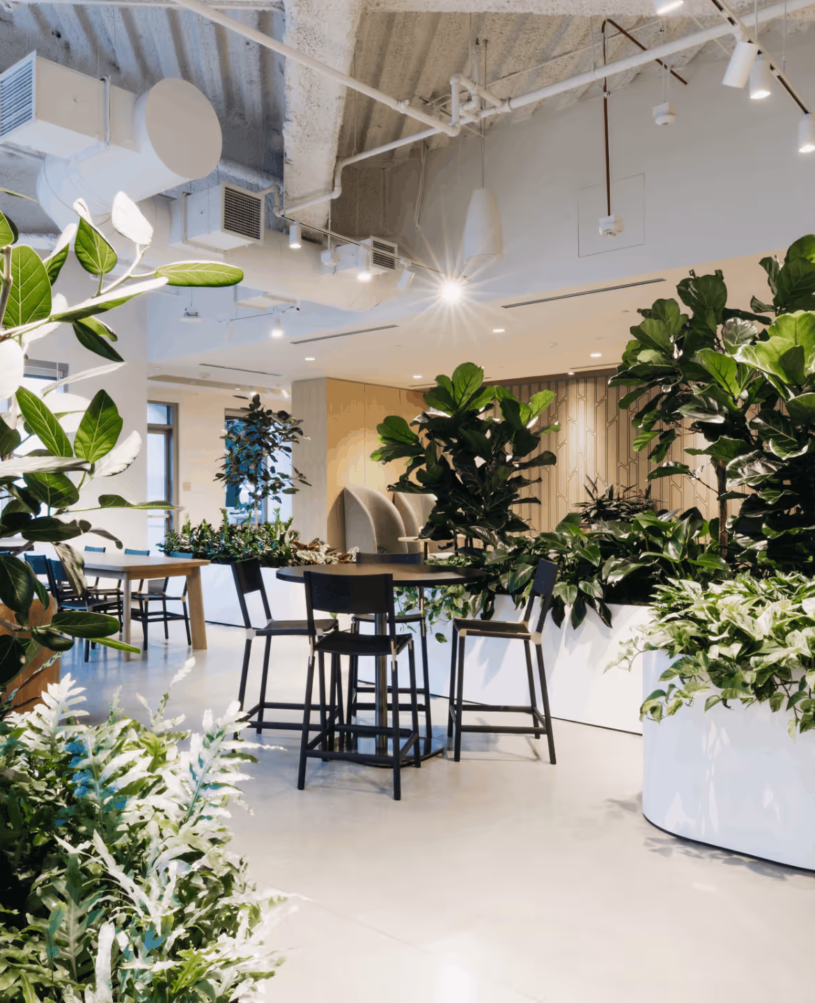 An award-winning biophilic workplace that brings nature, calm, and connection into a contemporary corporate environment.