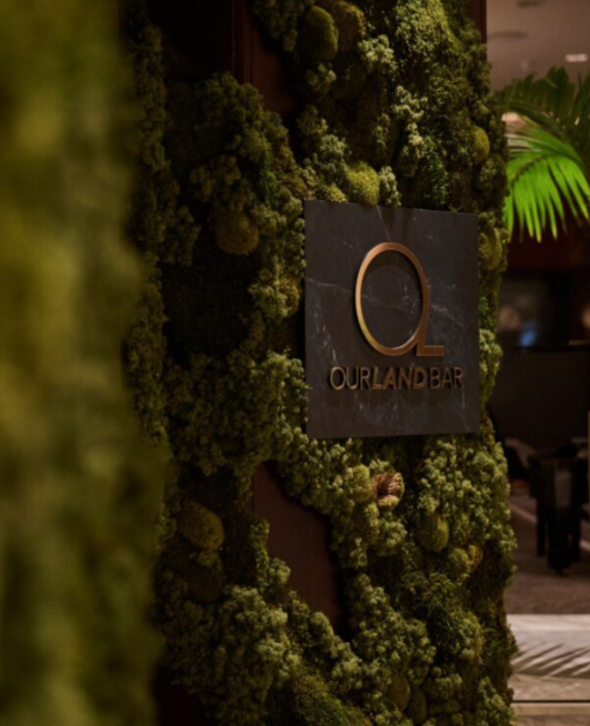 A sculptural moss installation transforming the entrance to Our Land Bar at Cordis Hotel.