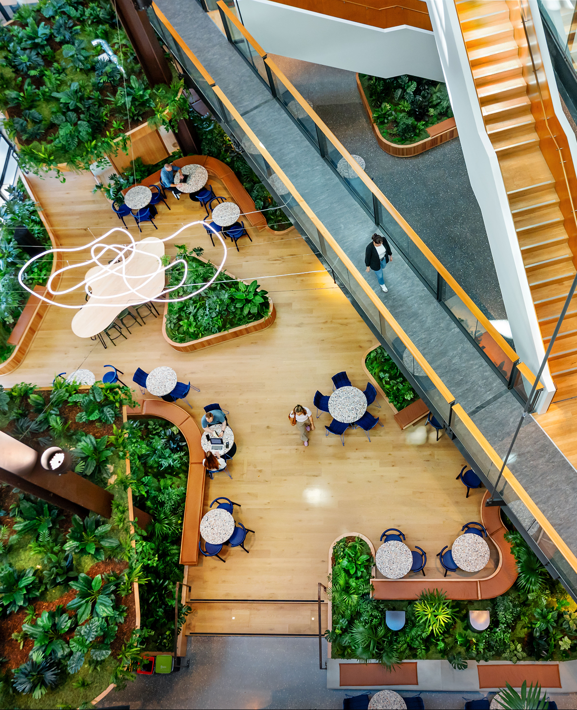 At AIA Smales Farm, BHIVE+, nature and architecture converge to create a living heart for connection, creativity, and calm.