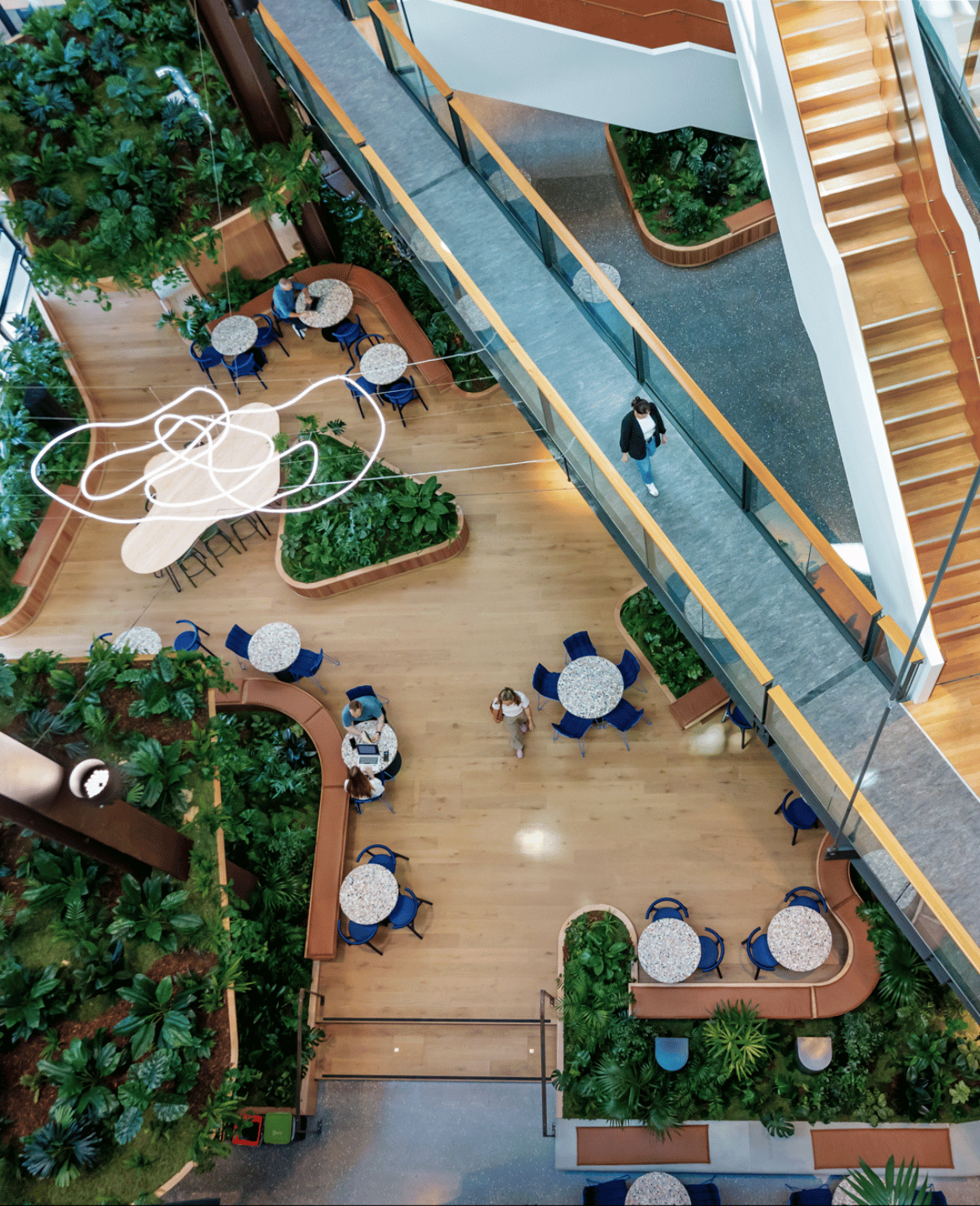 At AIA Smales Farm, BHIVE+, nature and architecture converge to create a living heart for connection, creativity, and calm.