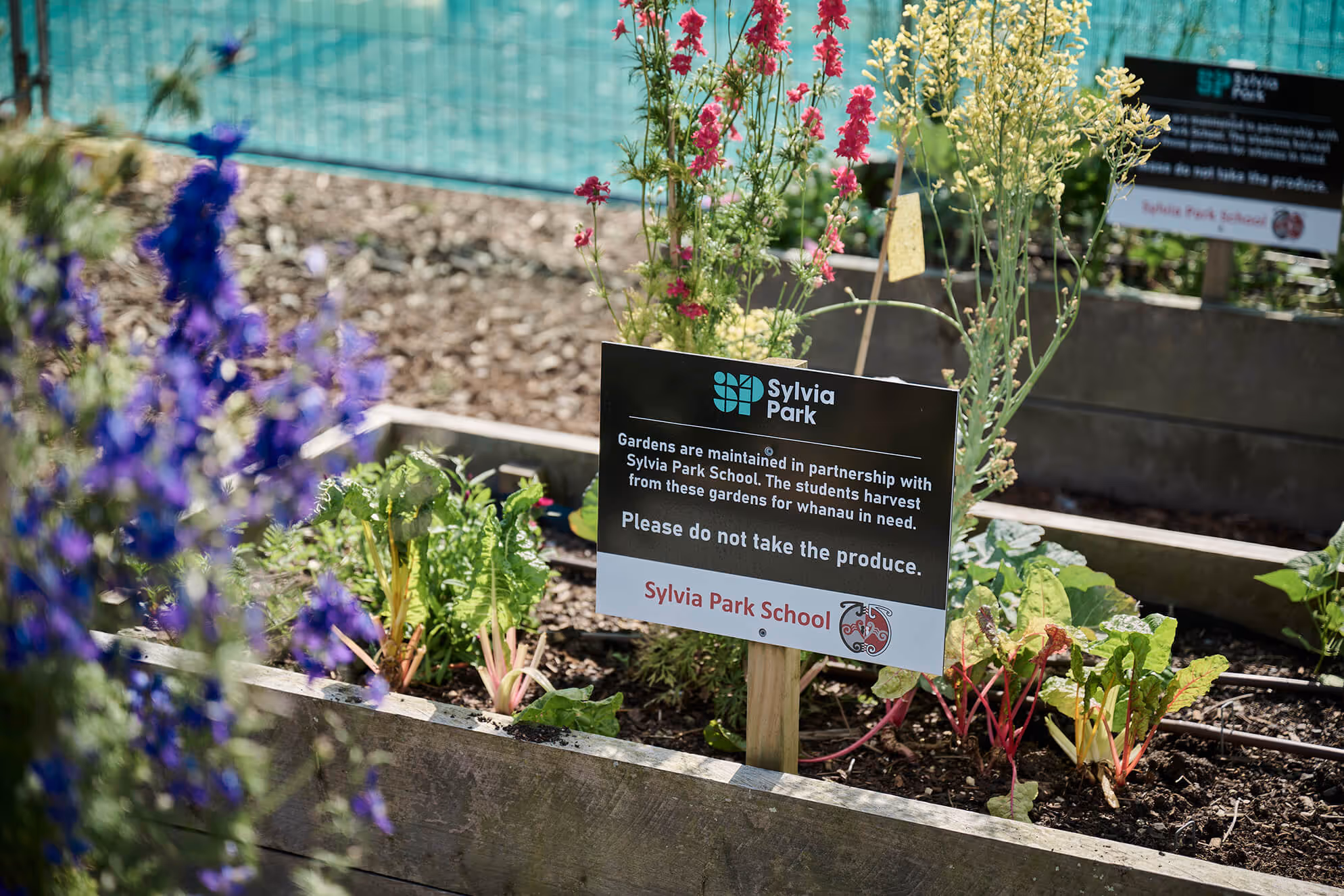 Sylvia Park School community garden with raised planting beds growing colourful flowers and vegetables as part of a sustainable urban greening initiative