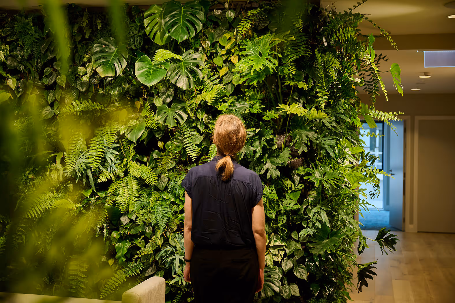 erson standing before a lush indoor living green wall featuring ferns, monstera and tropical plants as part of a commercial biophilic design installation