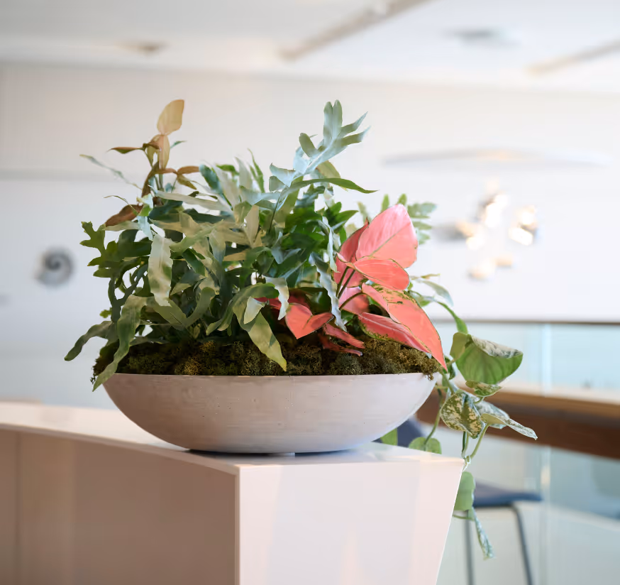 Low dish planter with a curated arrangement of mixed tropical foliage including a pink anthurium at Deloitte Auckland, positioned on a ledge with soft natural light