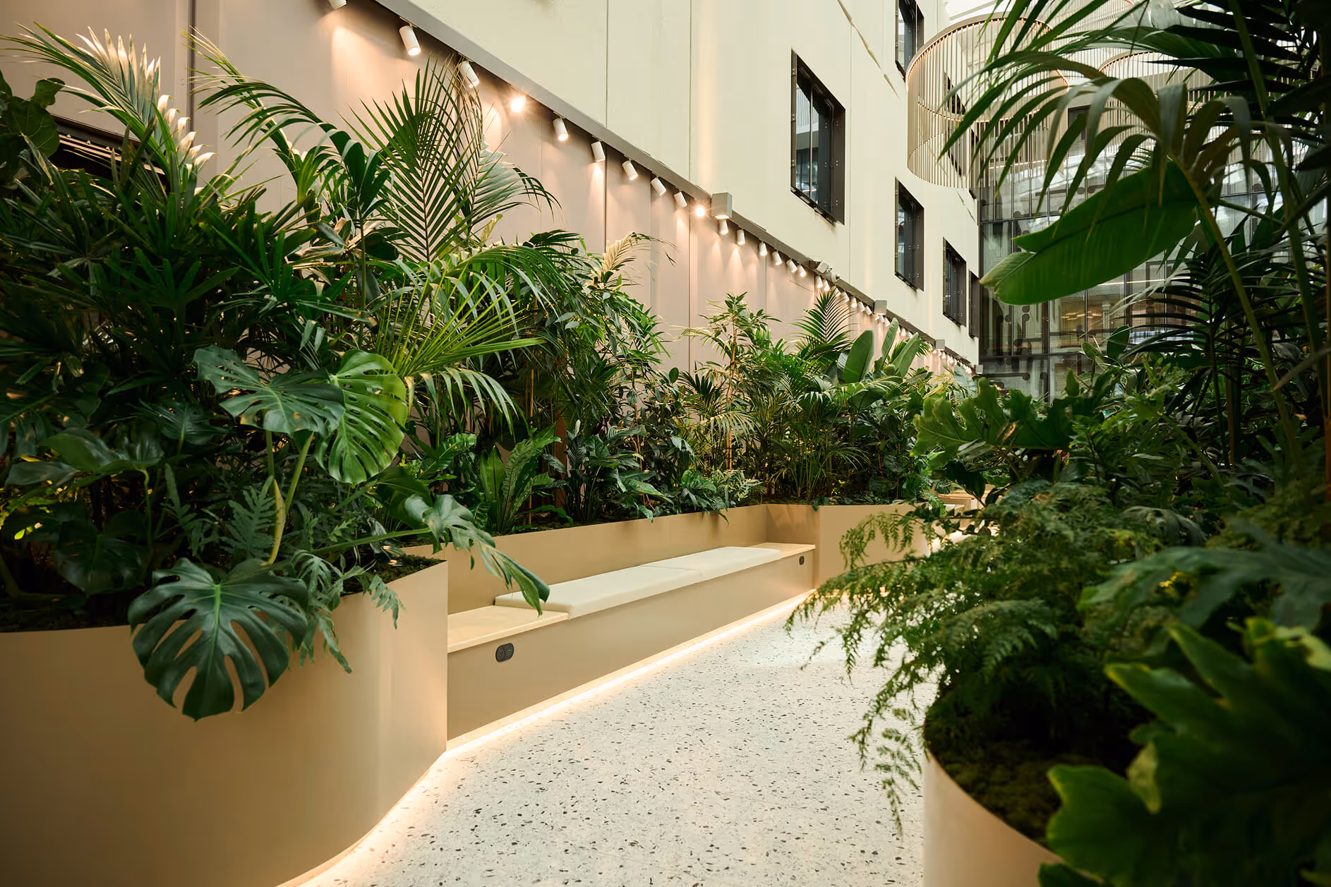 Biophilic indoor garden with tiered raised planters and tropical palms installed along a healthcare facility corridor by Outside In