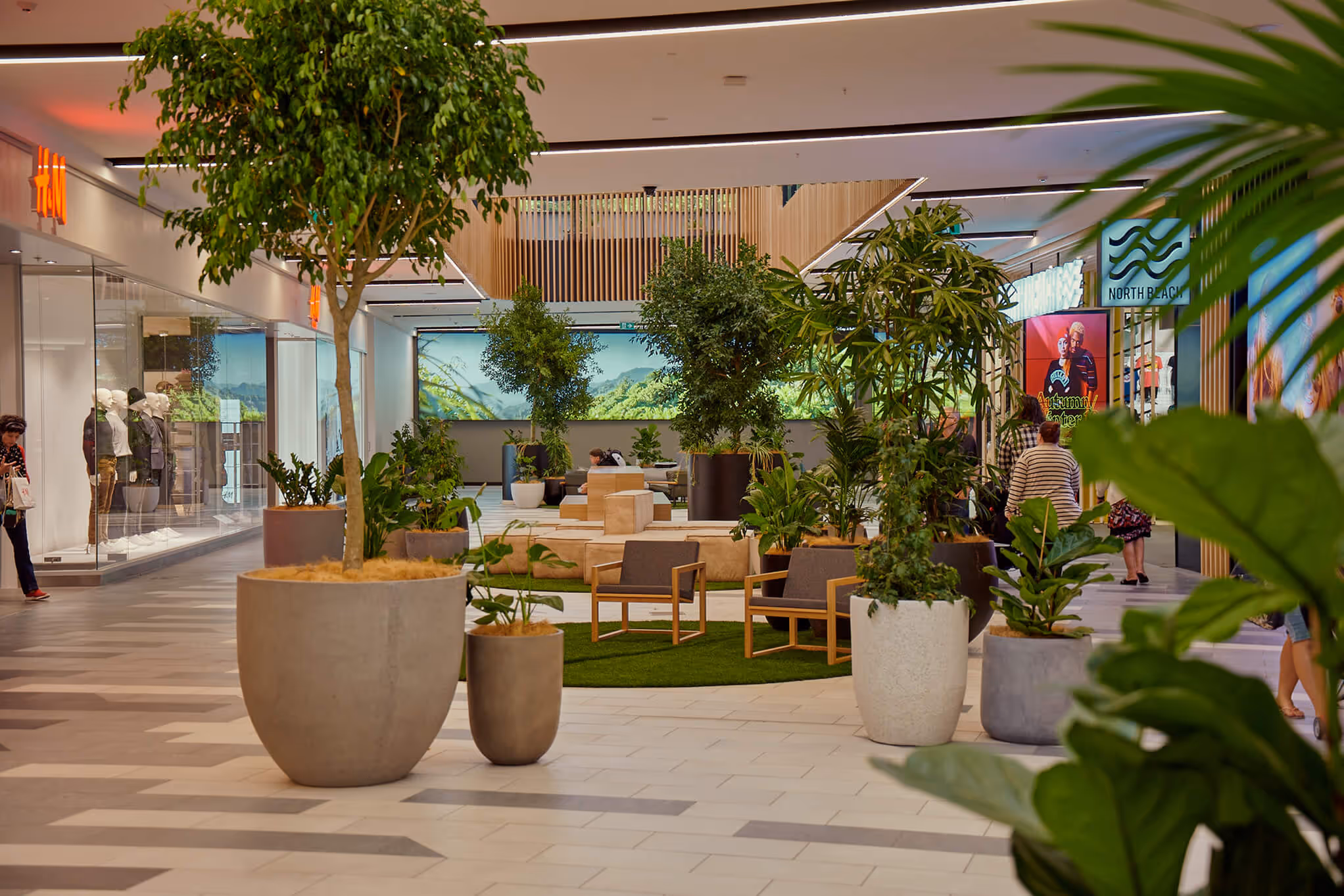Large indoor trees and statement planters installed throughout a commercial retail atrium as part of an Outside In biophilic retail greenery design