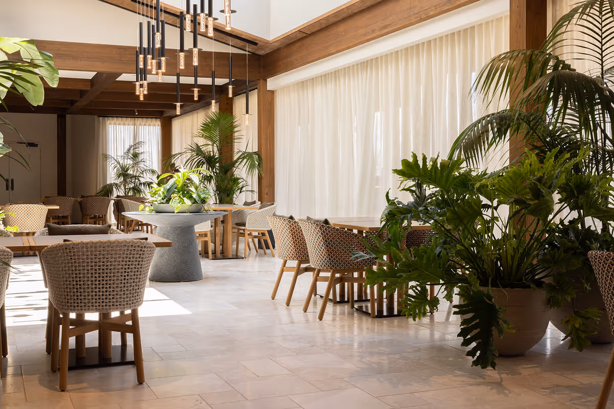 Warm and welcoming later living dining space with large tropical planters and indoor greenery designed to support resident wellbeing and comfort