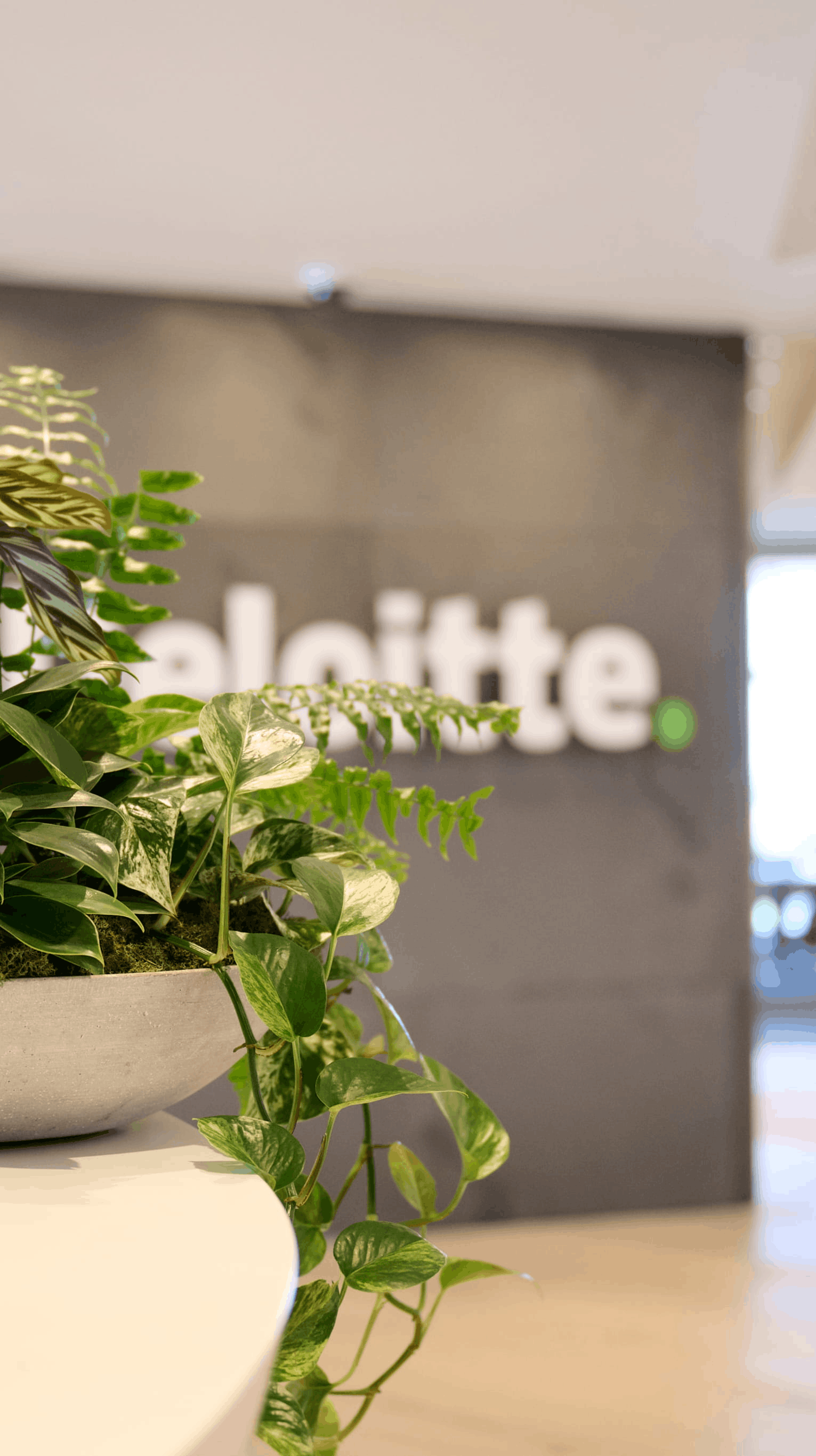 Deloitte knew that Outside In would create inspiring green spaces for their new workplace to help their people thrive.