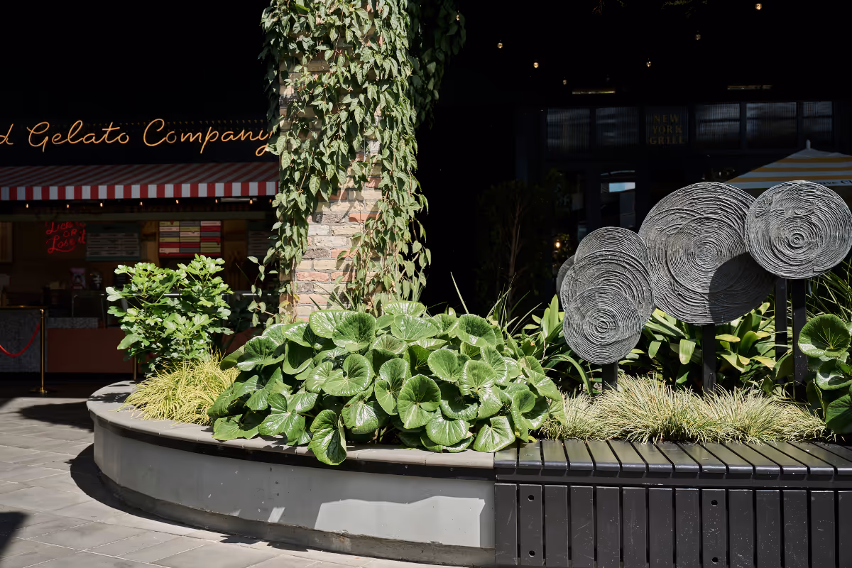 Custom exterior planting with large-leaf tropical plants and climbing vines framing a commercial retail entrance as part of an Outside In bespoke exterior design