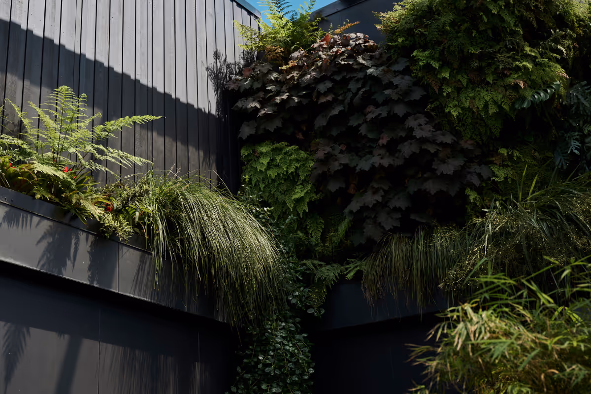 Large-scale exterior living green wall with mixed native and tropical species installed on a dark commercial building facade by Outside In