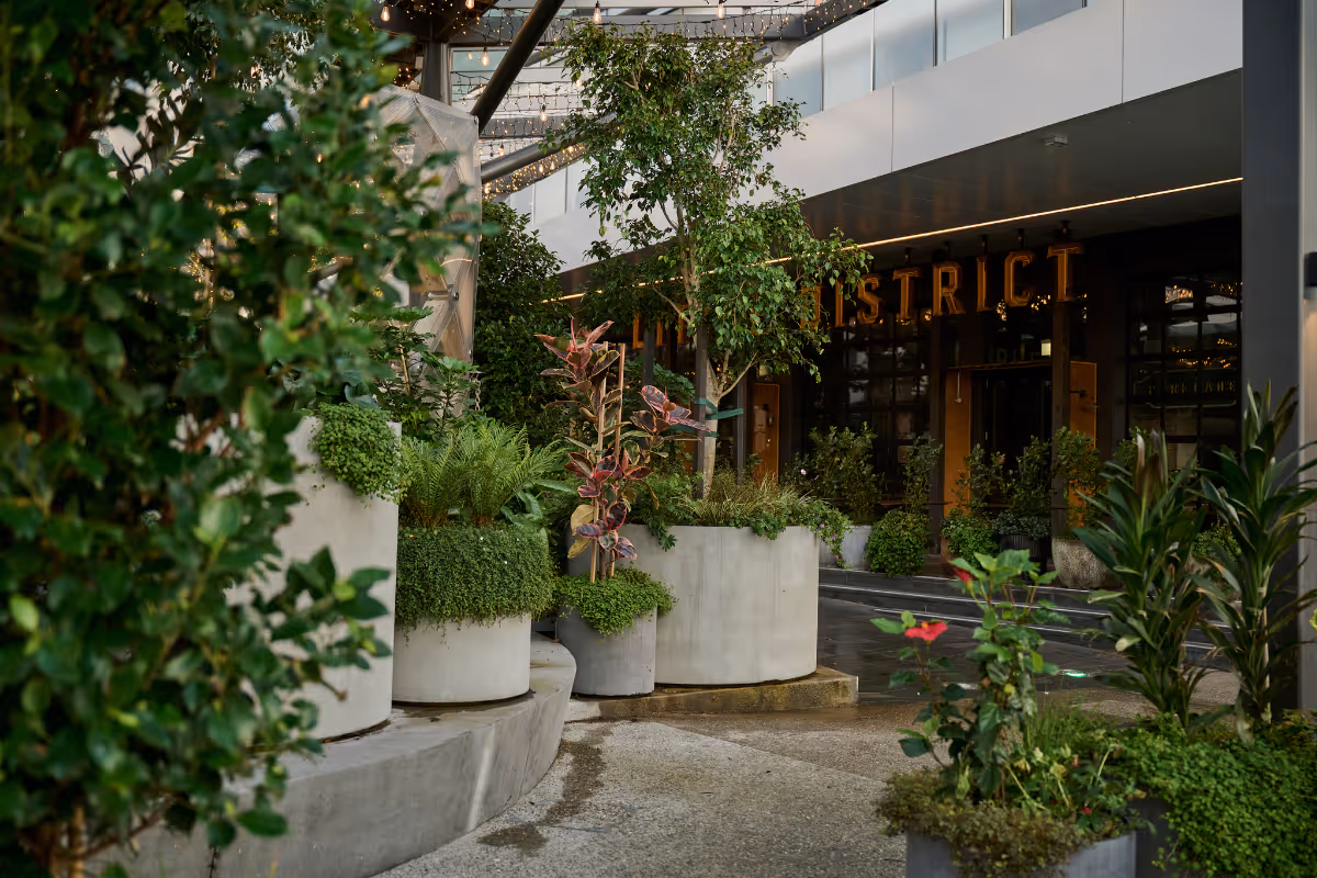 Bespoke exterior planting with large concrete planters and tropical greenery softening a commercial retail precinct entrance and street frontage