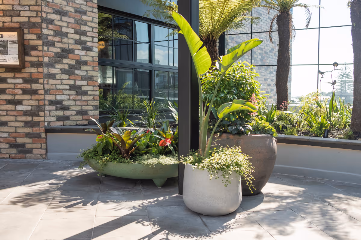 Durable exterior planters featuring banana palms, tree ferns and tropical species installed at a commercial building entrance as part of an Outside In bespoke exterior scheme