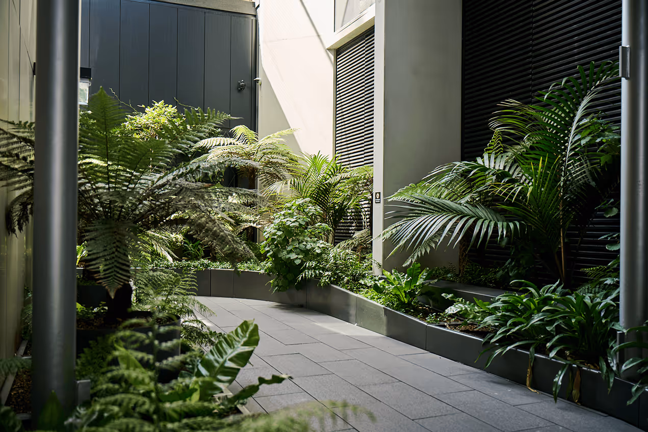 Lush fern, palm and tropical planting installed in a narrow commercial building entryway with dark architectural cladding and louvred screens, designed by Outside In to create a welcoming arrival experience