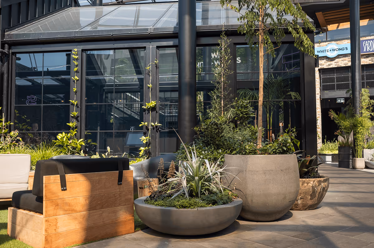 Large concrete bowl planters with statement trees and mixed tropical planting installed outside a retail precinct entrance, showcasing the role of greenery in retail design