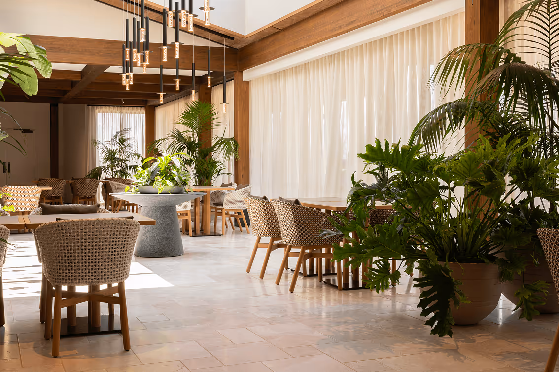 Bright later living communal dining space with lush tropical plants, natural timber and wicker seating designed to encourage social interaction and community