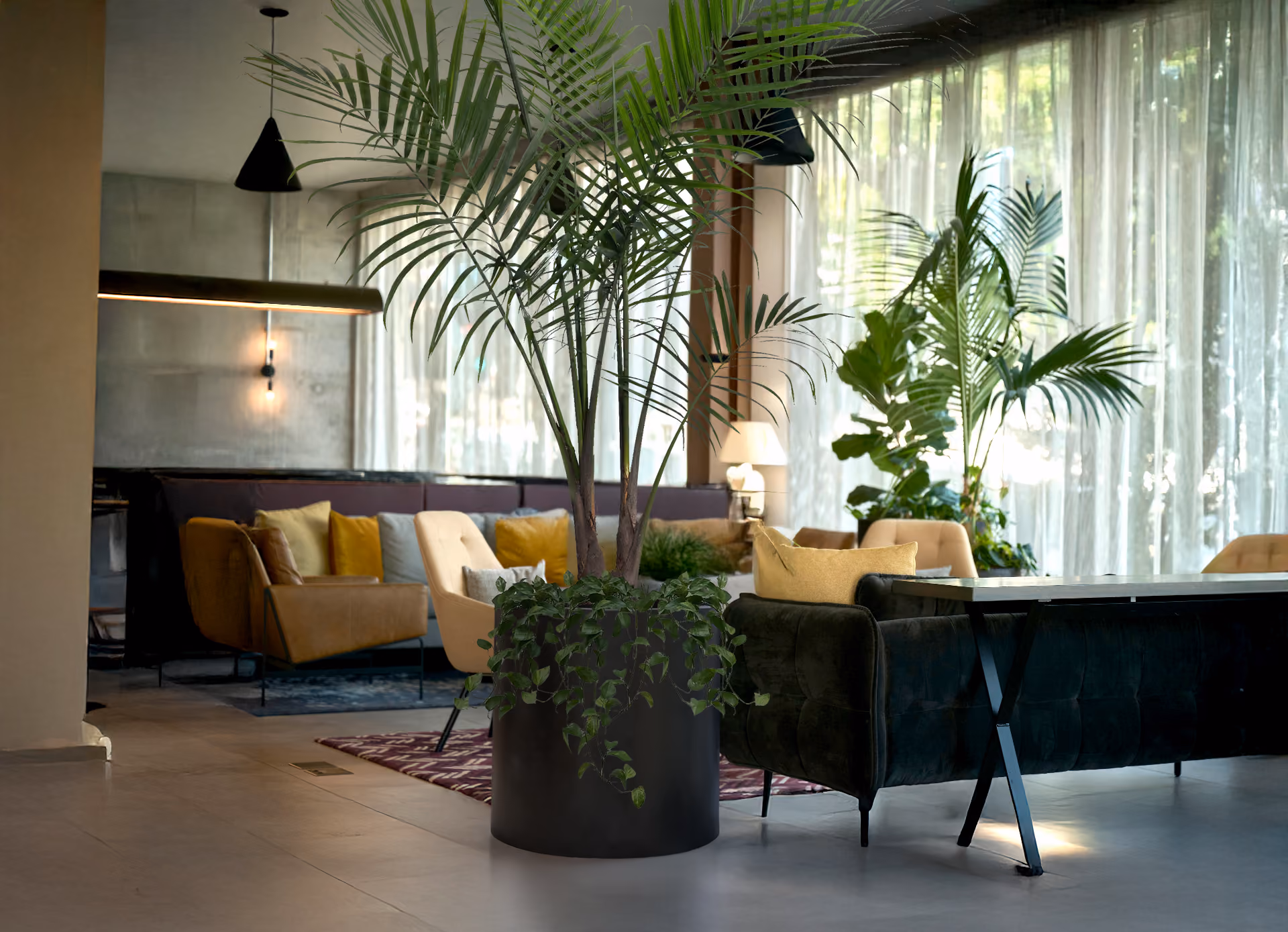 Indoor plants and palms in a hotel lounge