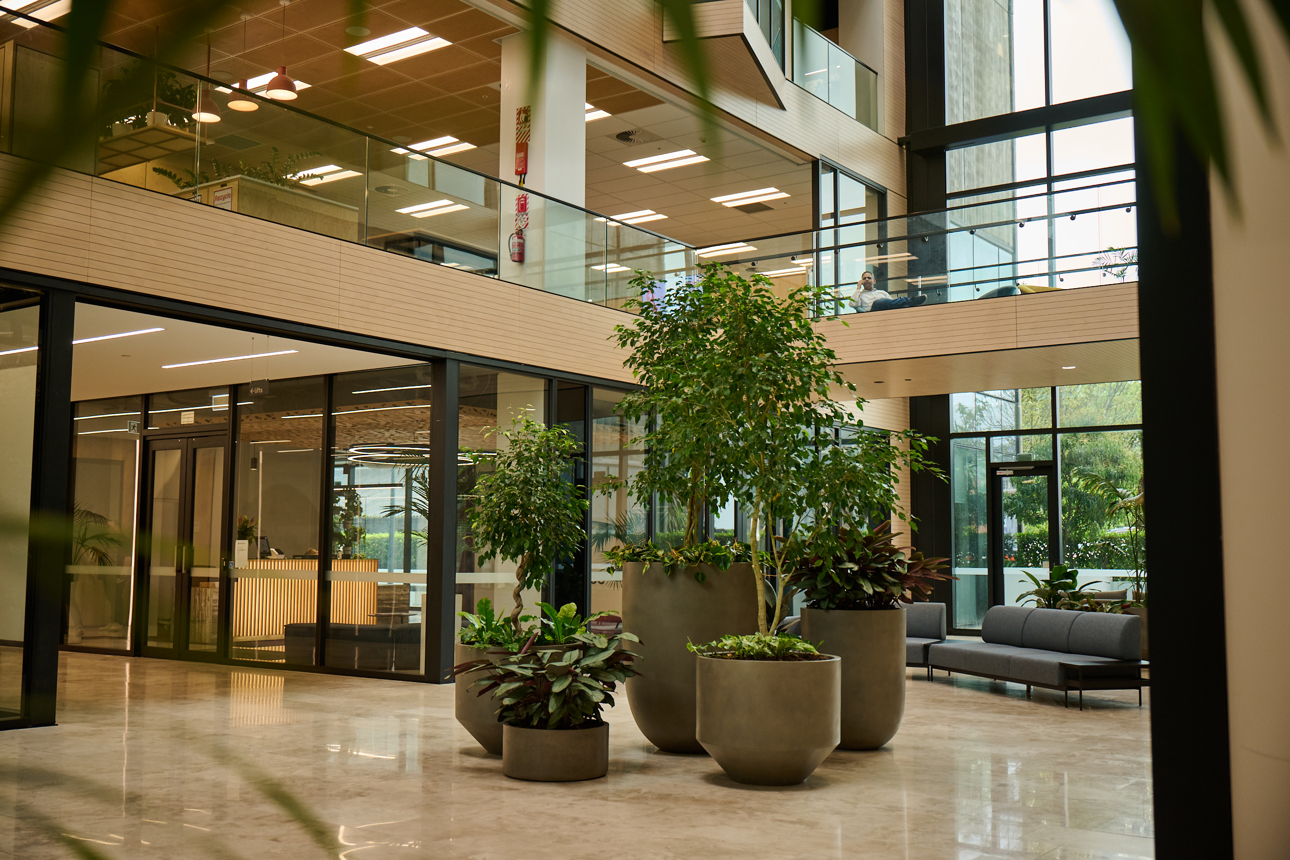 Greenery and plants in office atrium